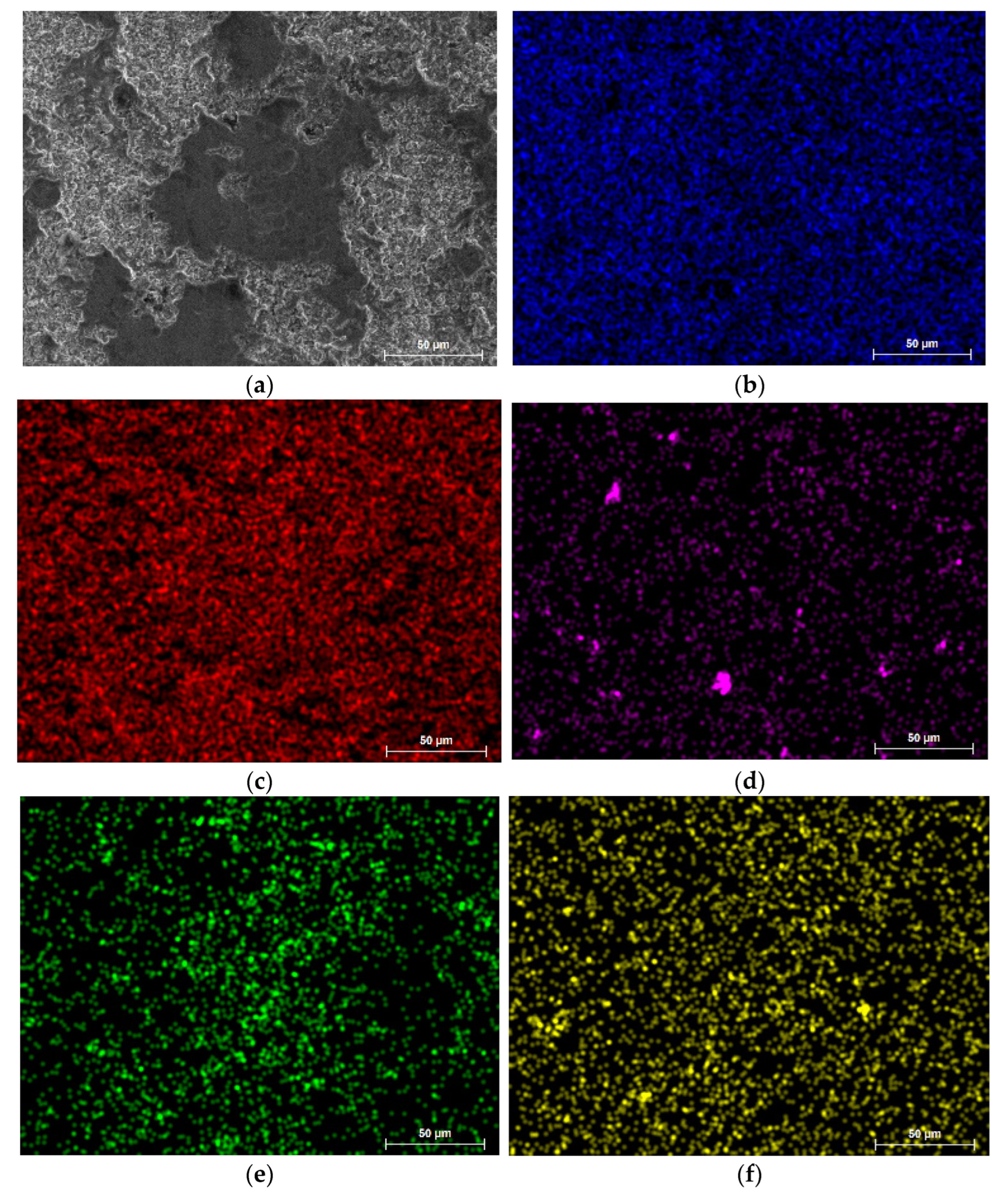 Coatings 13 00408 g011