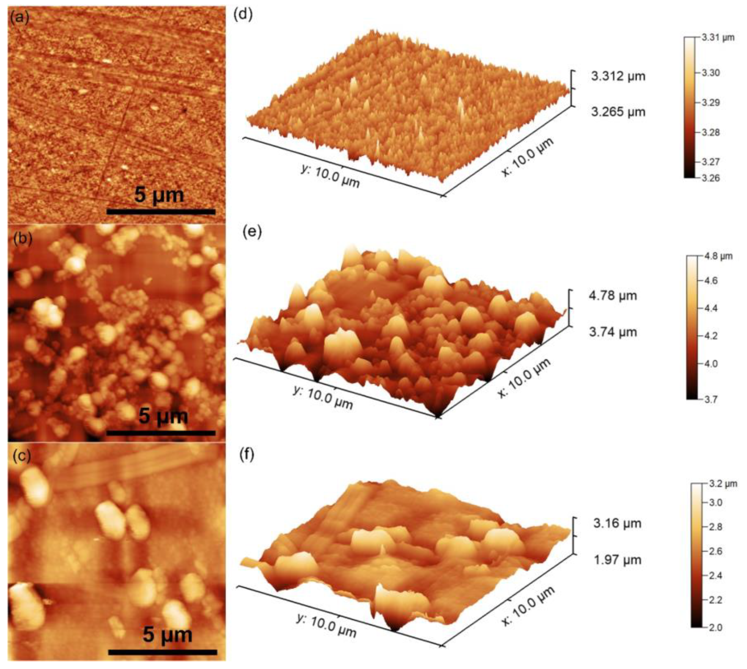 Coatings 13 00409 g005