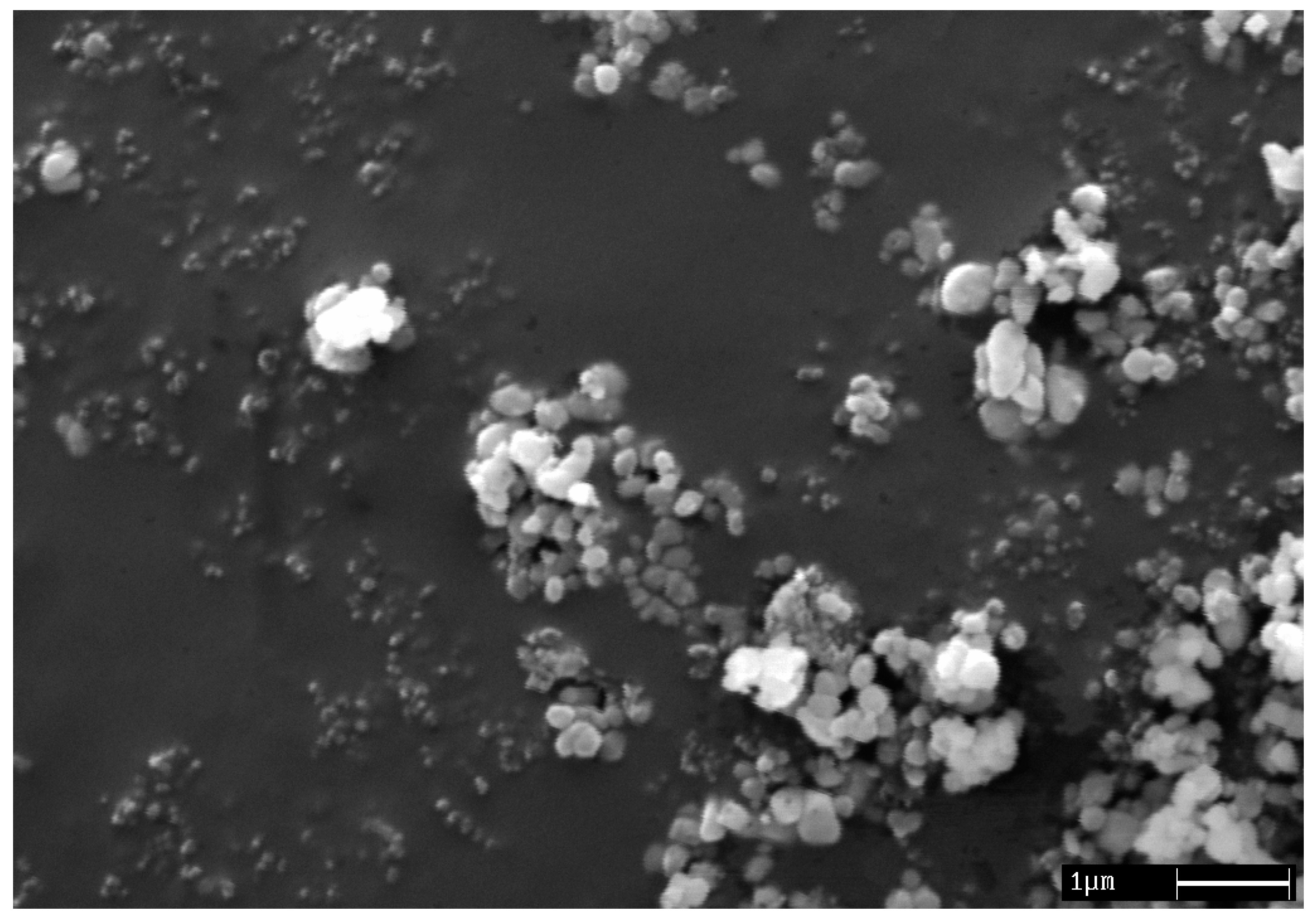 Coatings 13 00411 g001