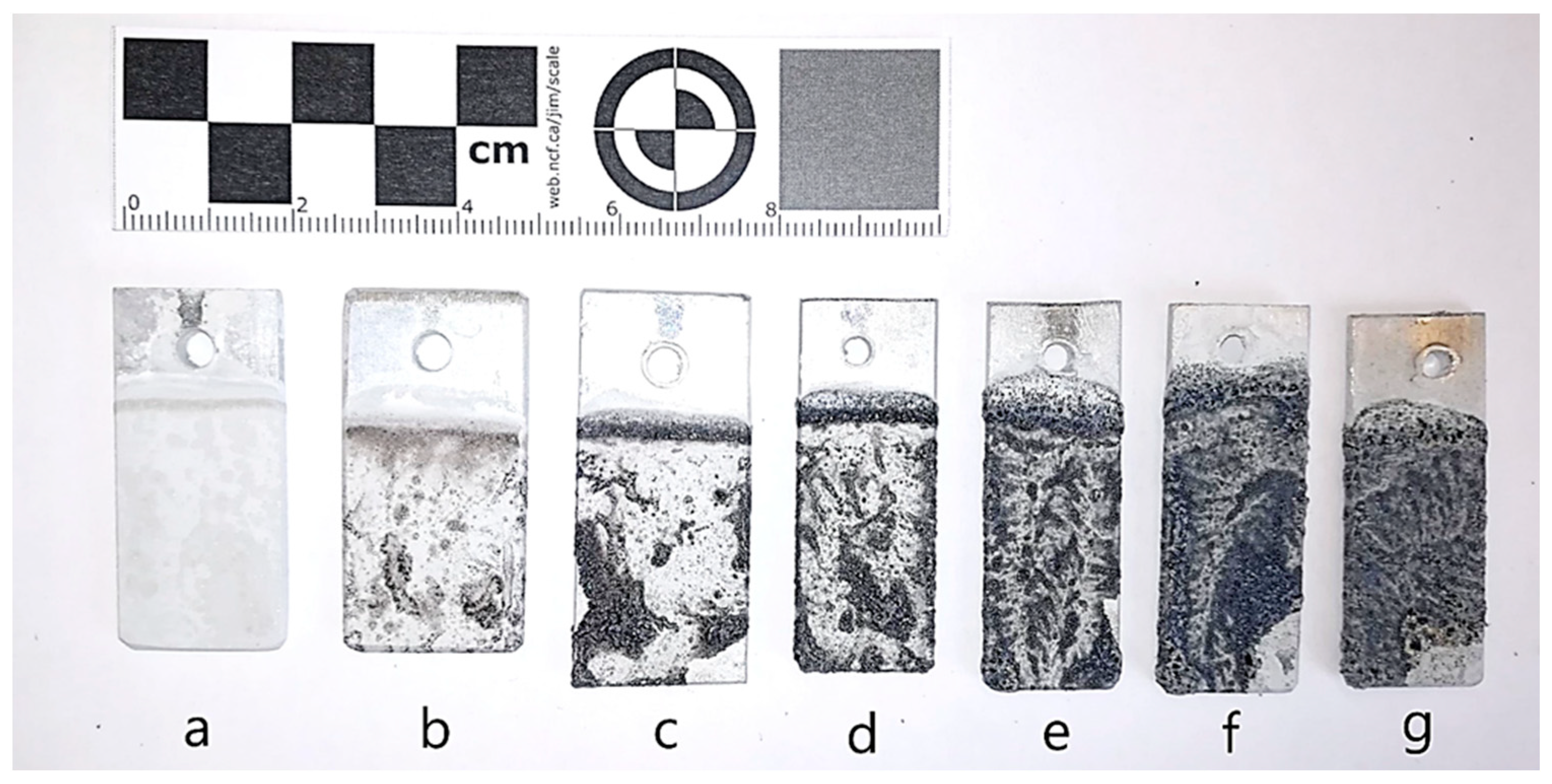 Coatings 13 00411 g003