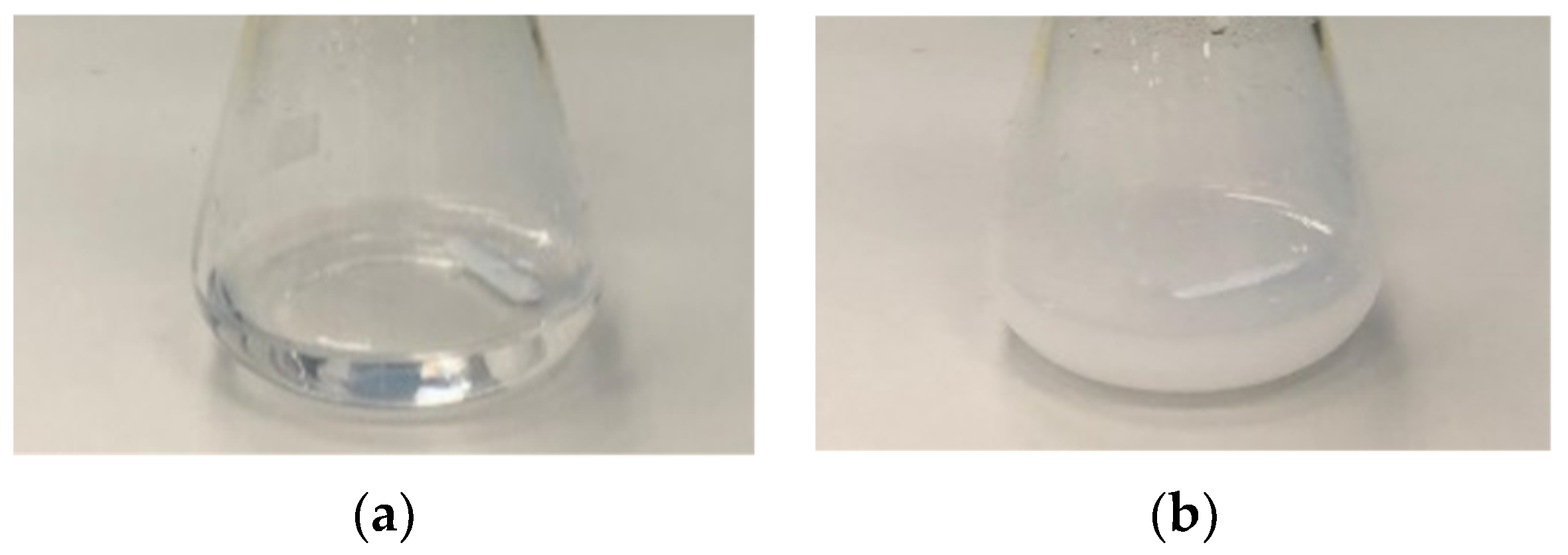 Coatings 13 00414 g001