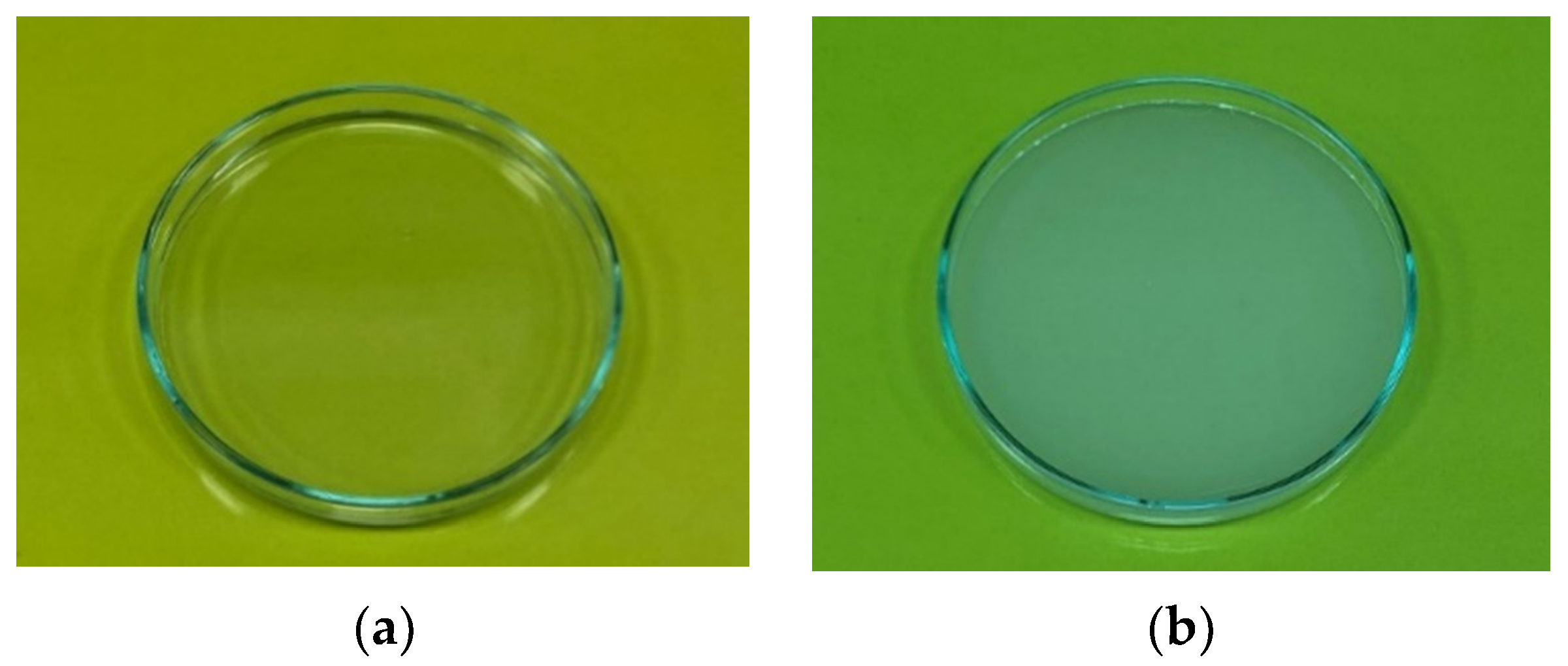 Coatings 13 00414 g003