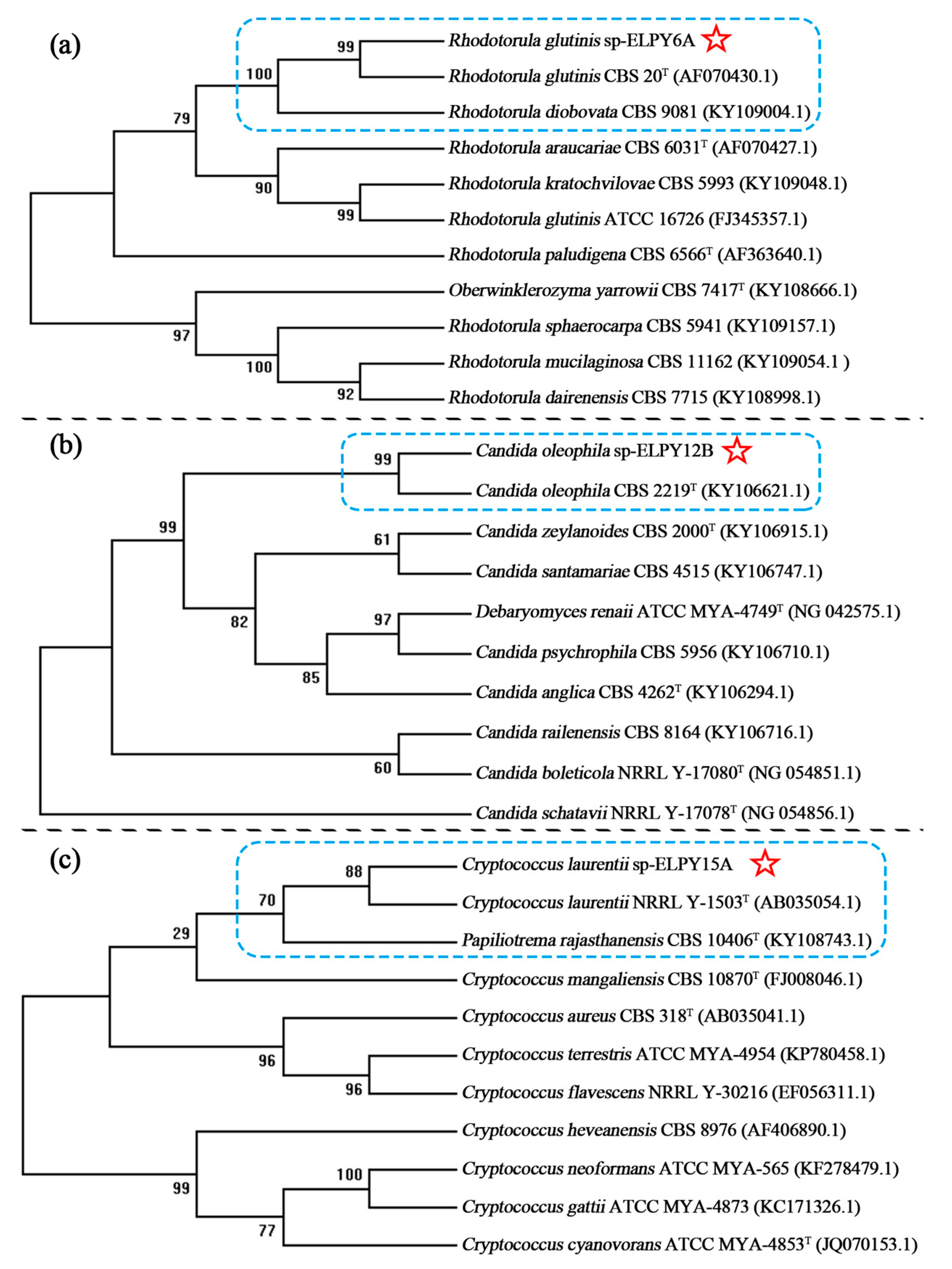 Coatings 13 00417 g001
