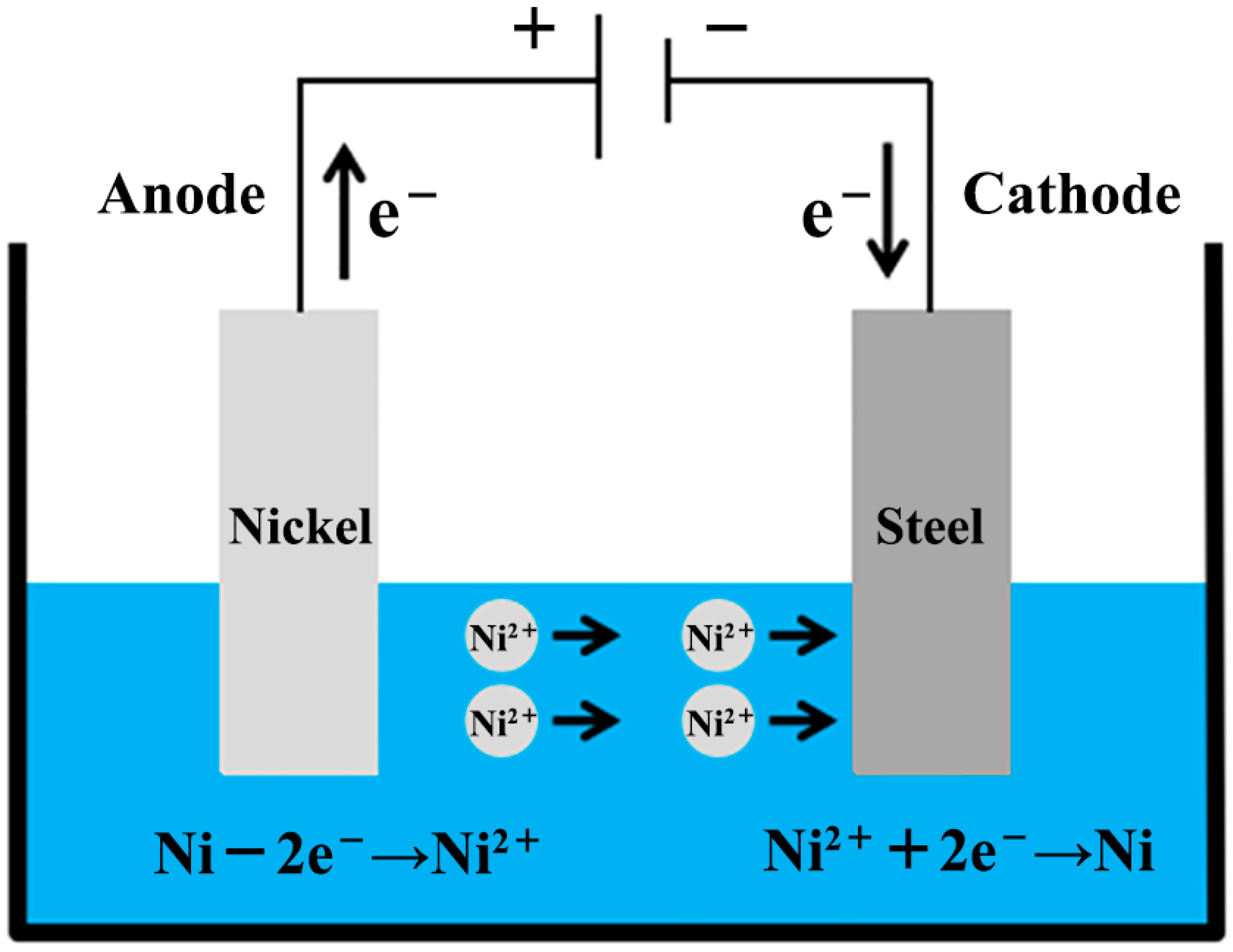 Coatings 13 00418 g001