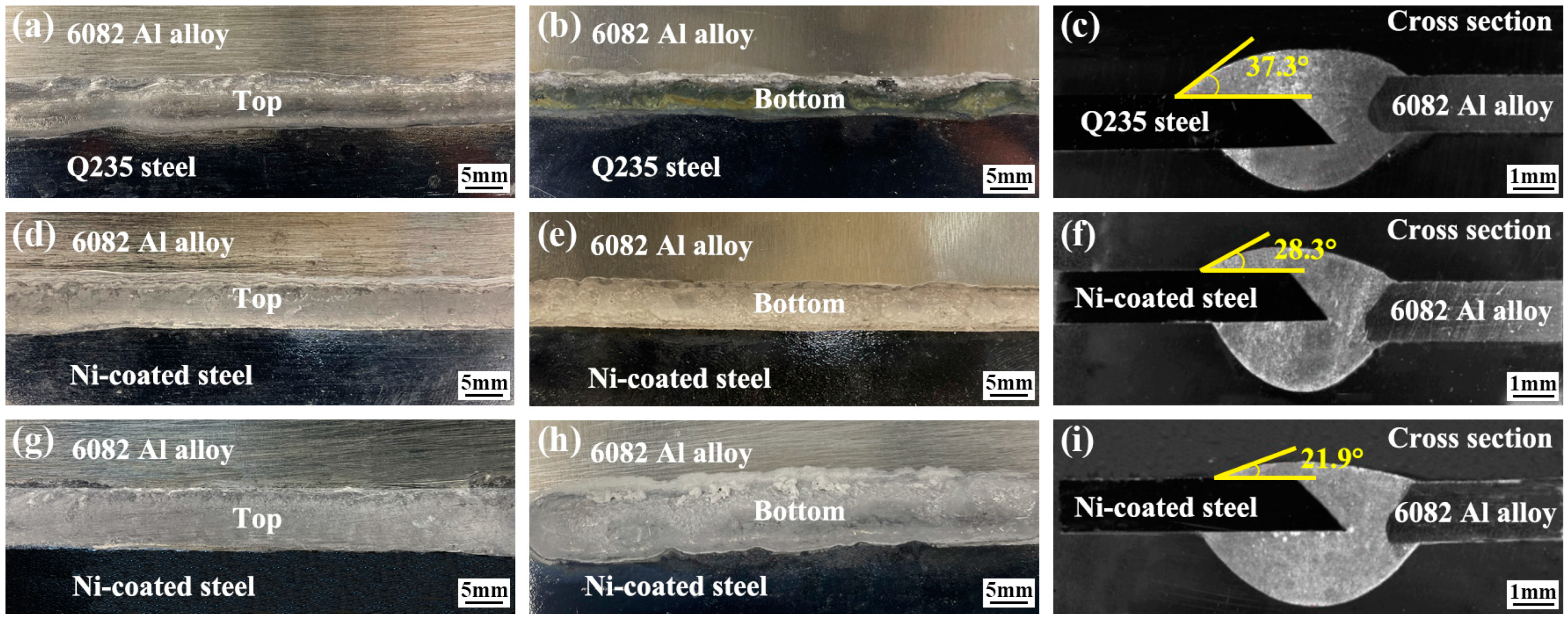 Coatings 13 00418 g003