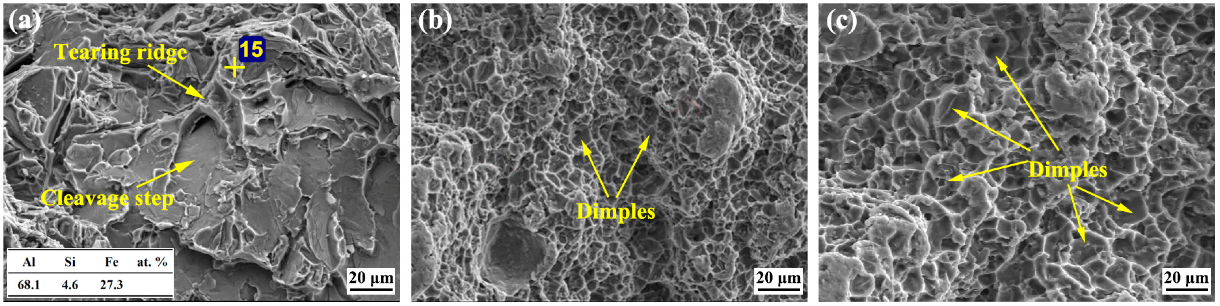 Coatings 13 00418 g008