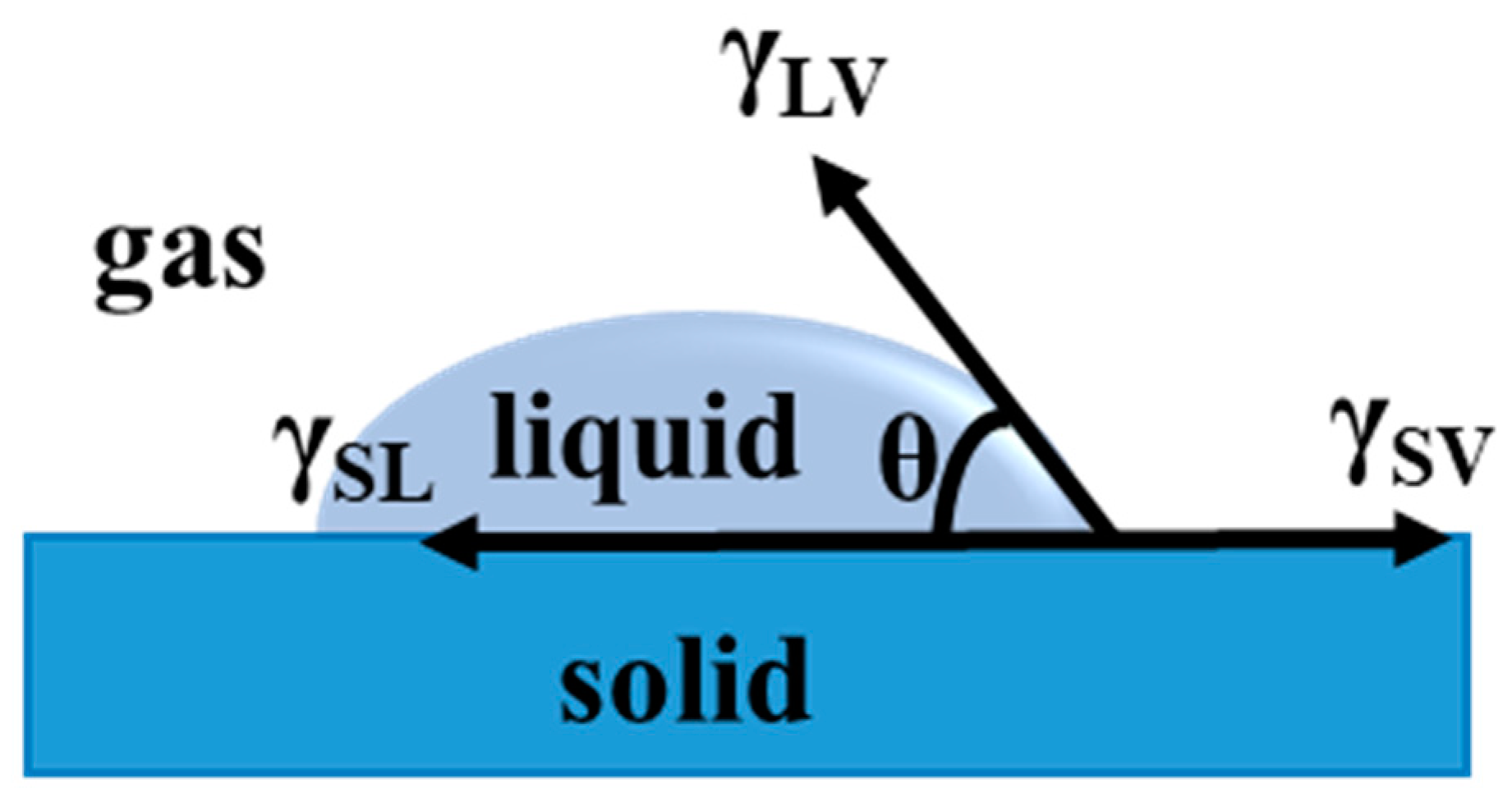 Coatings 13 00419 g001