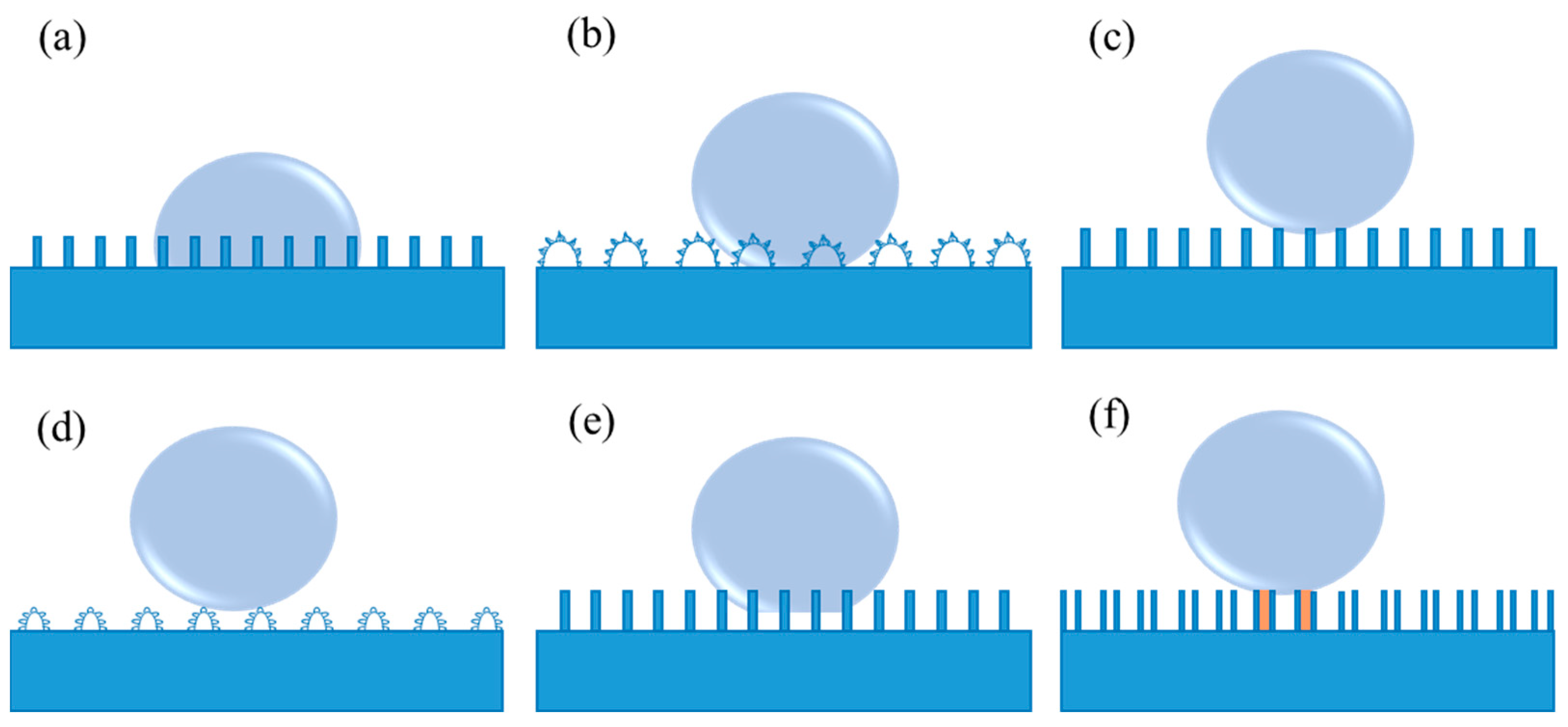 Coatings 13 00419 g002