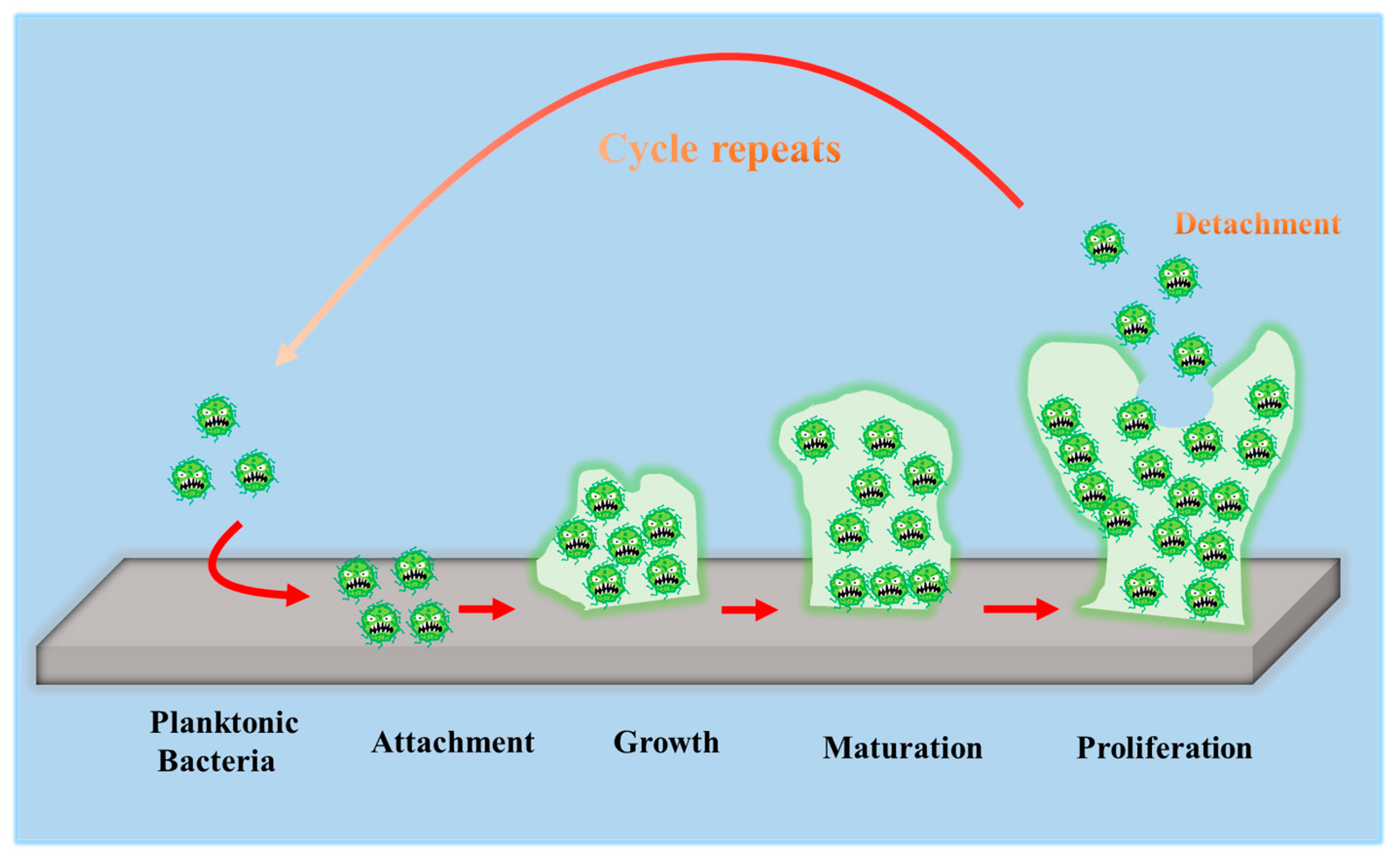 Coatings 13 00419 g003