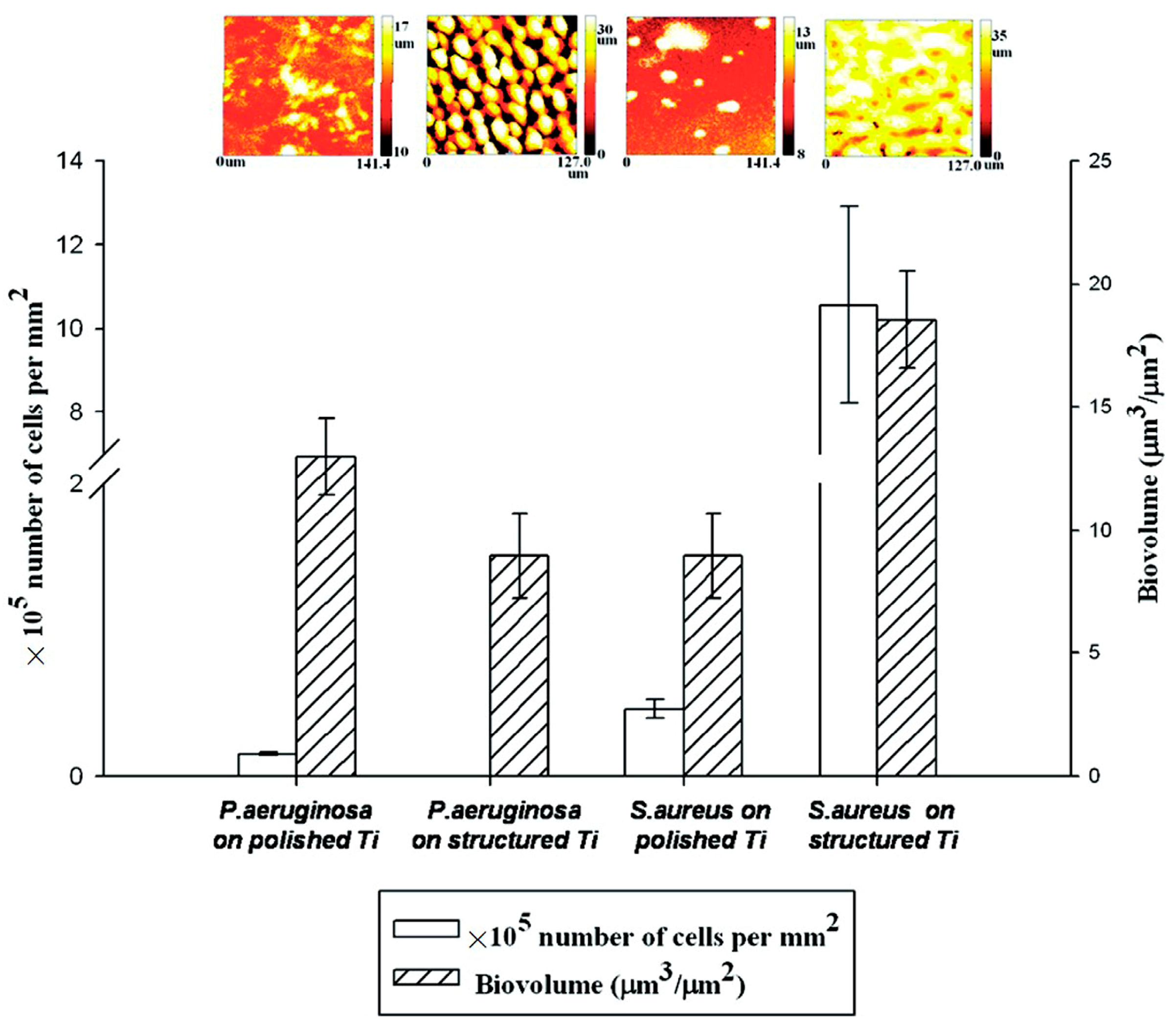 Coatings 13 00419 g010