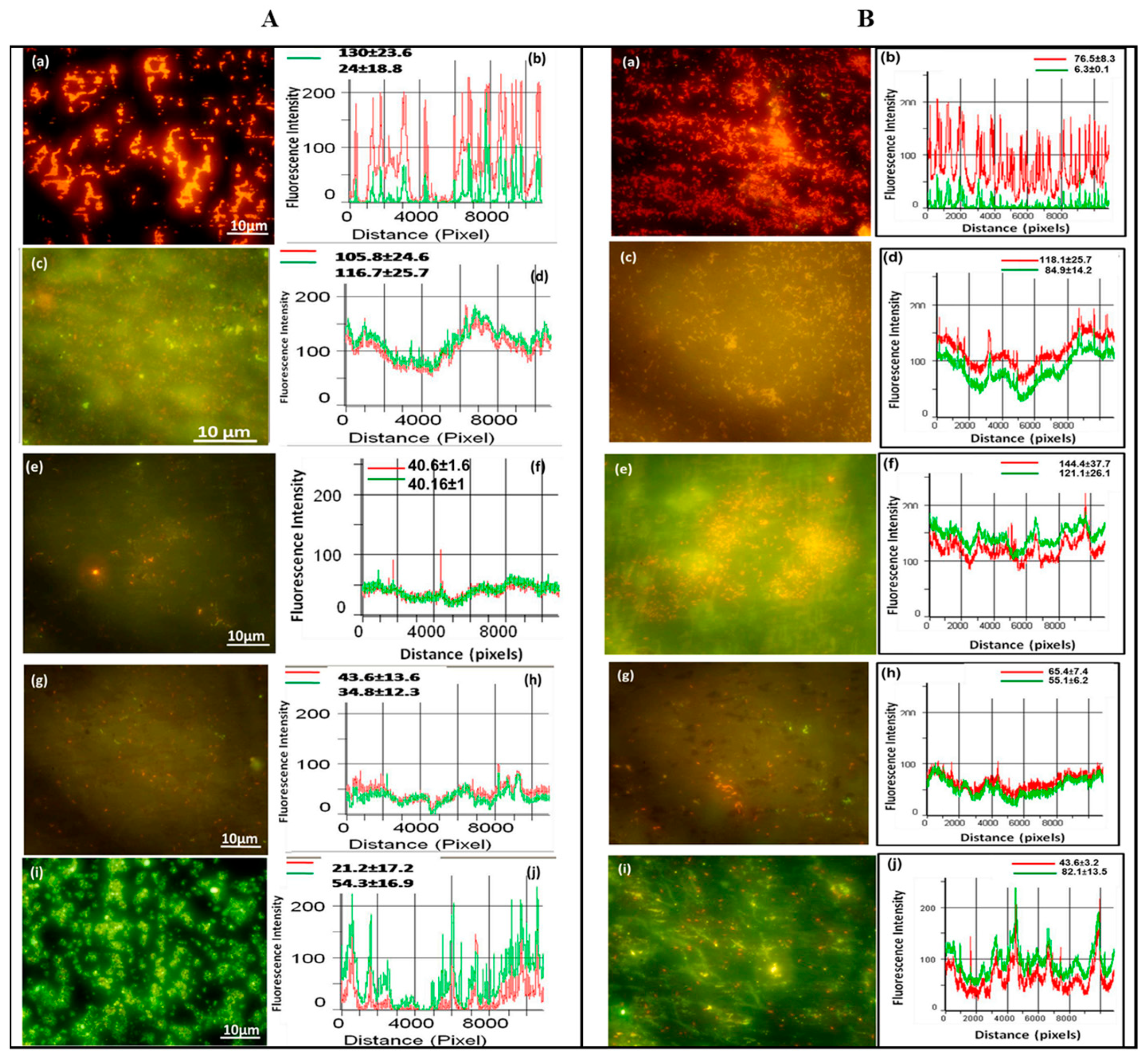 Coatings 13 00419 g011