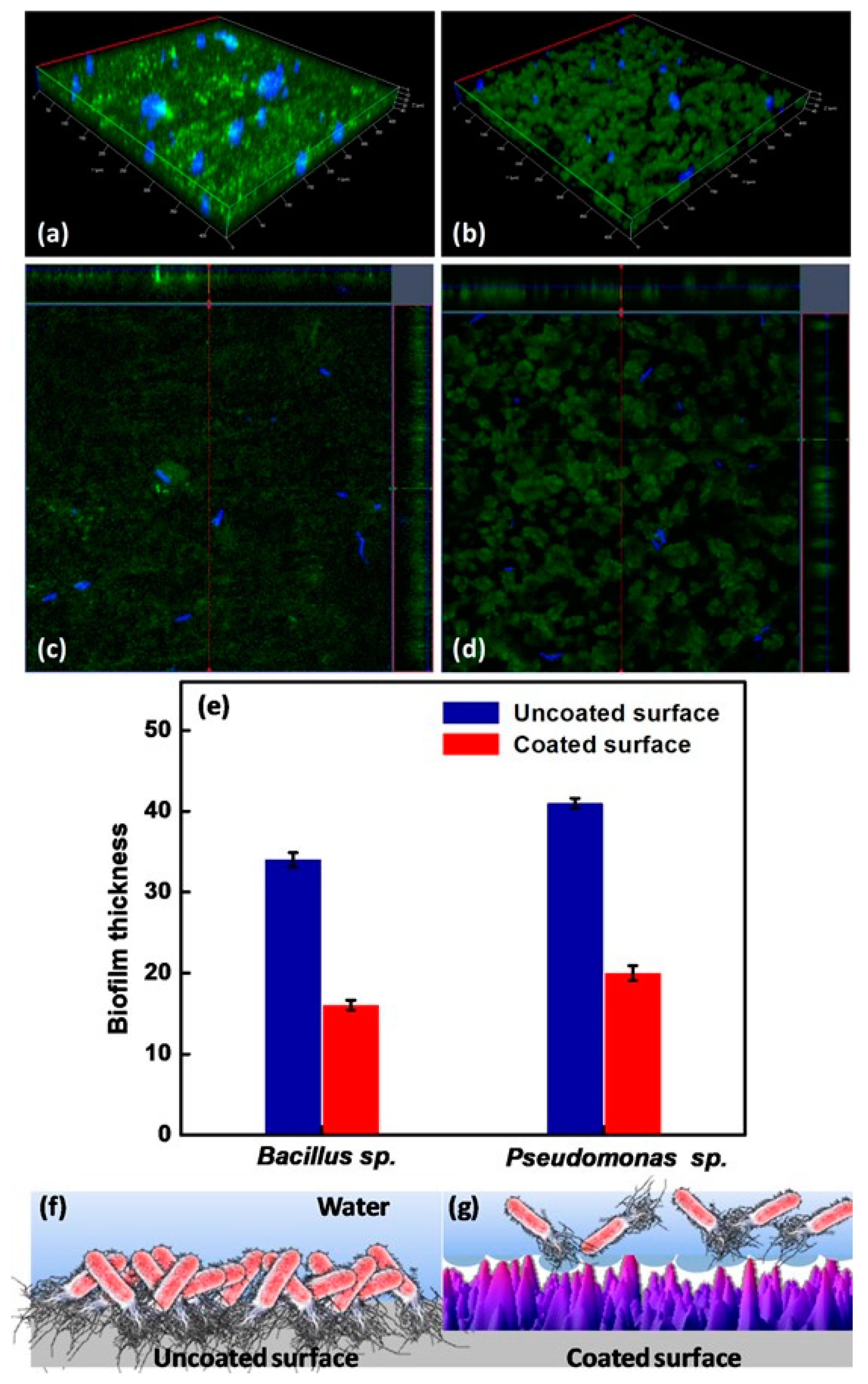 Coatings 13 00419 g012