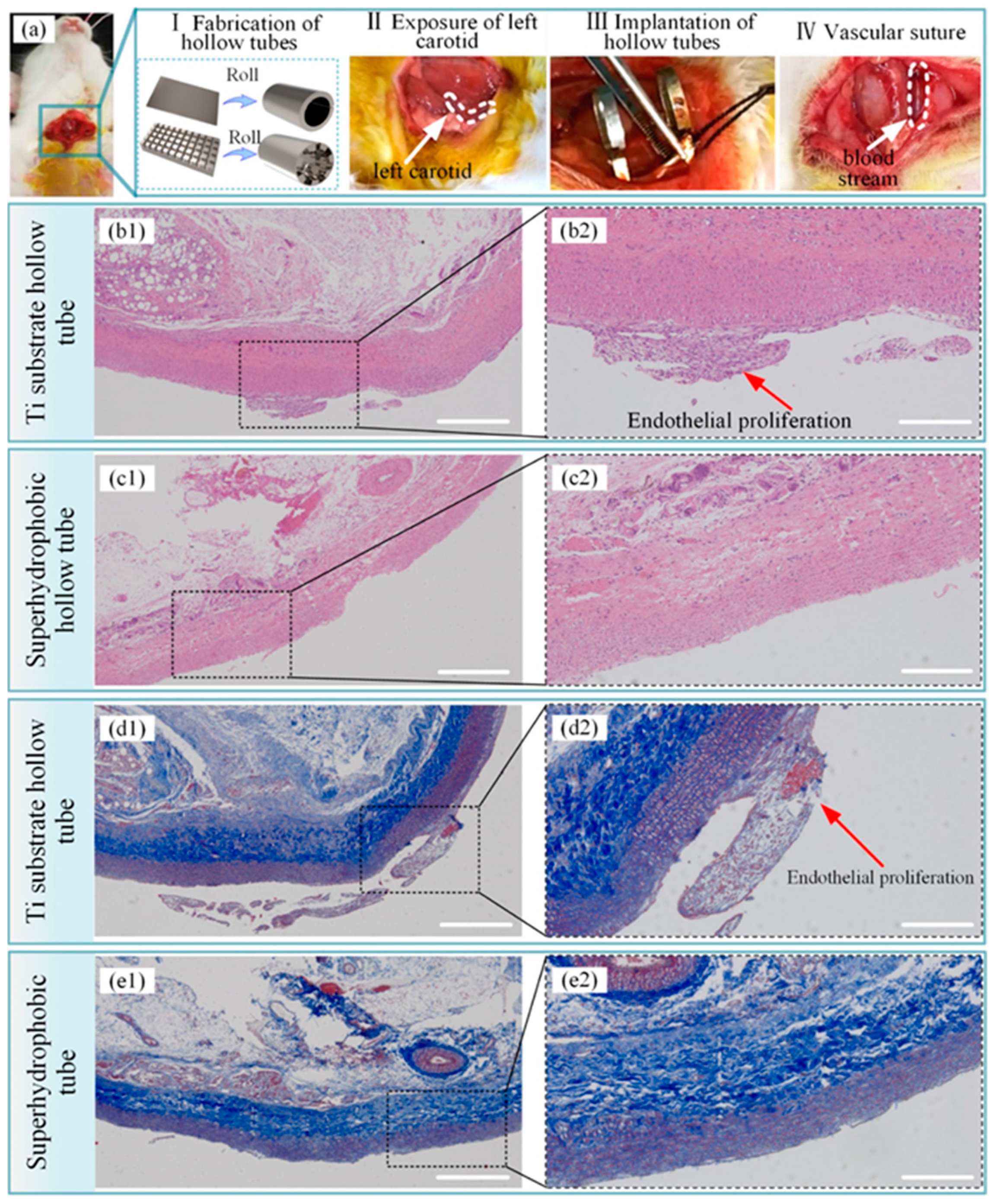 Coatings 13 00419 g014