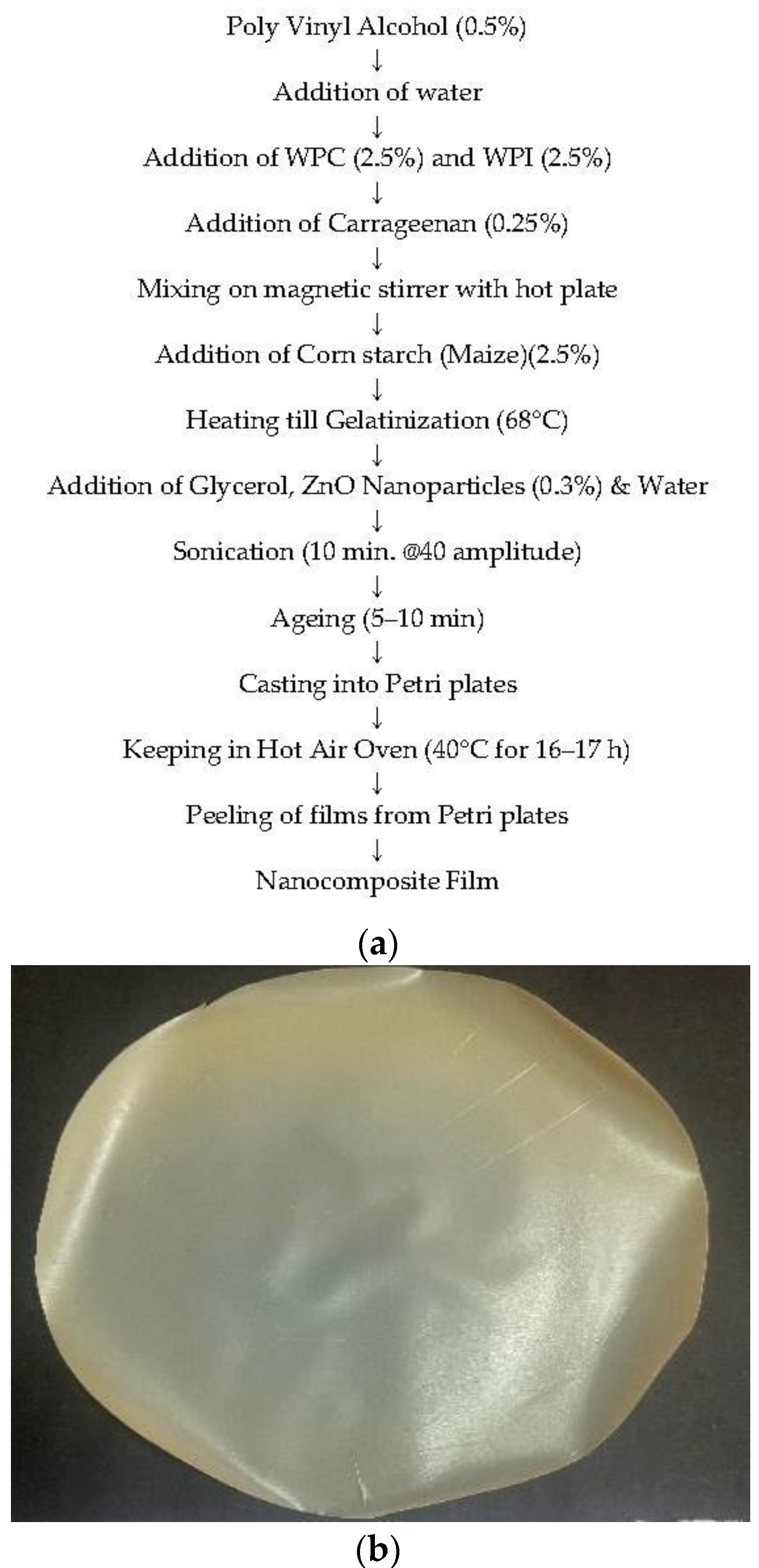 Coatings 13 00420 g001 Coatings 13 00420 g001
