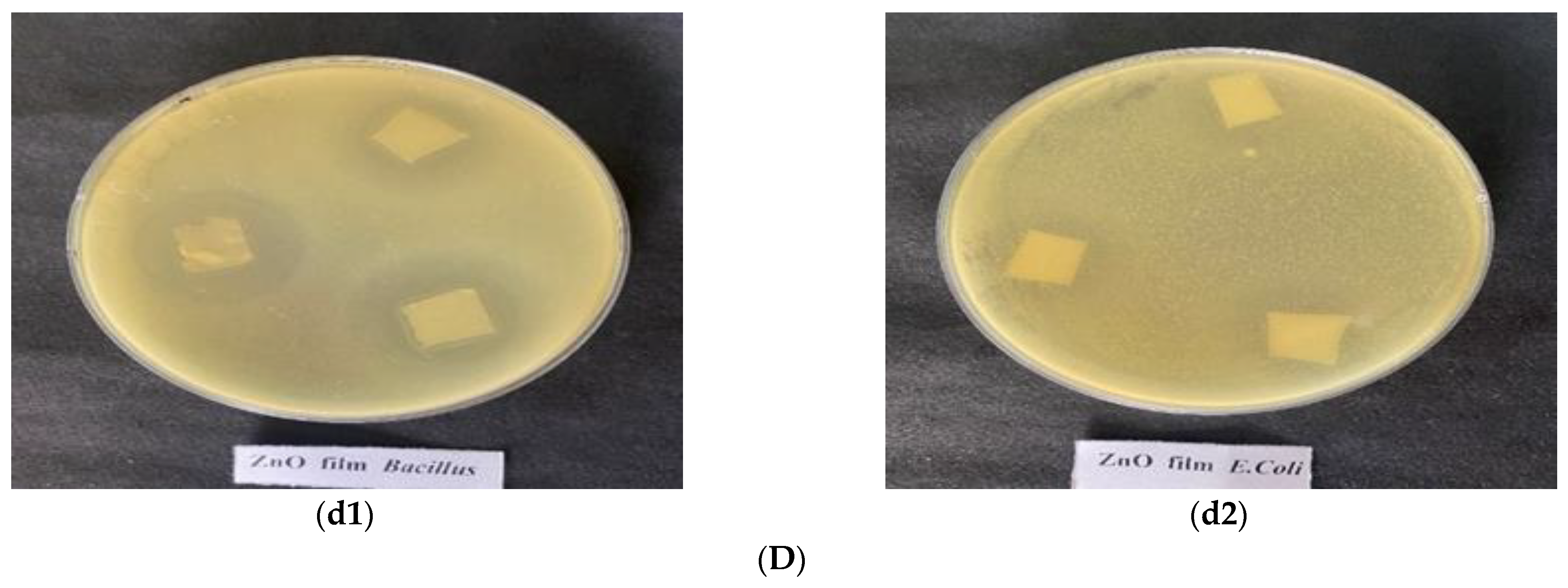 Coatings 13 00420 g007b Coatings 13 00420 g007b
