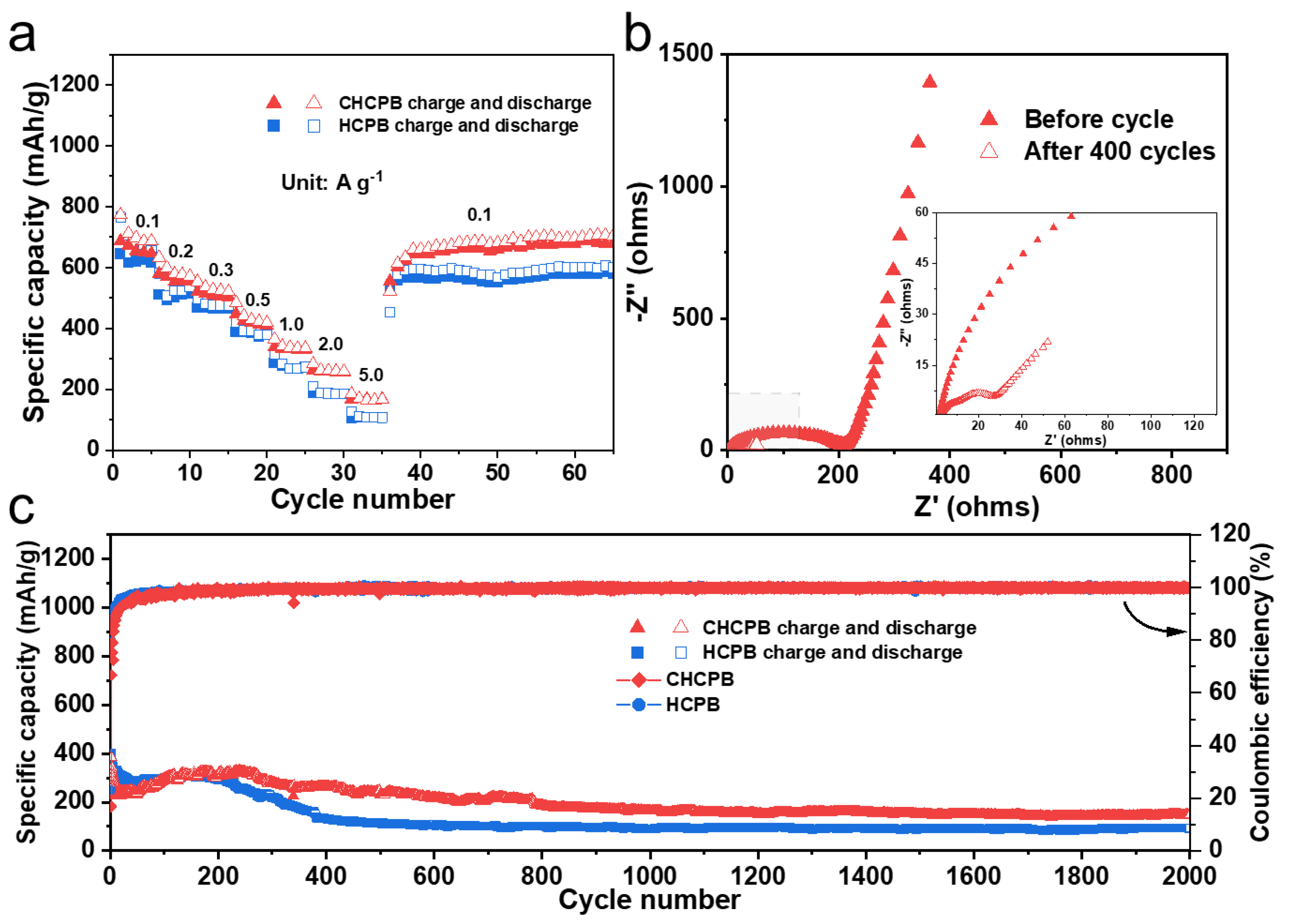 Coatings 13 00421 g004