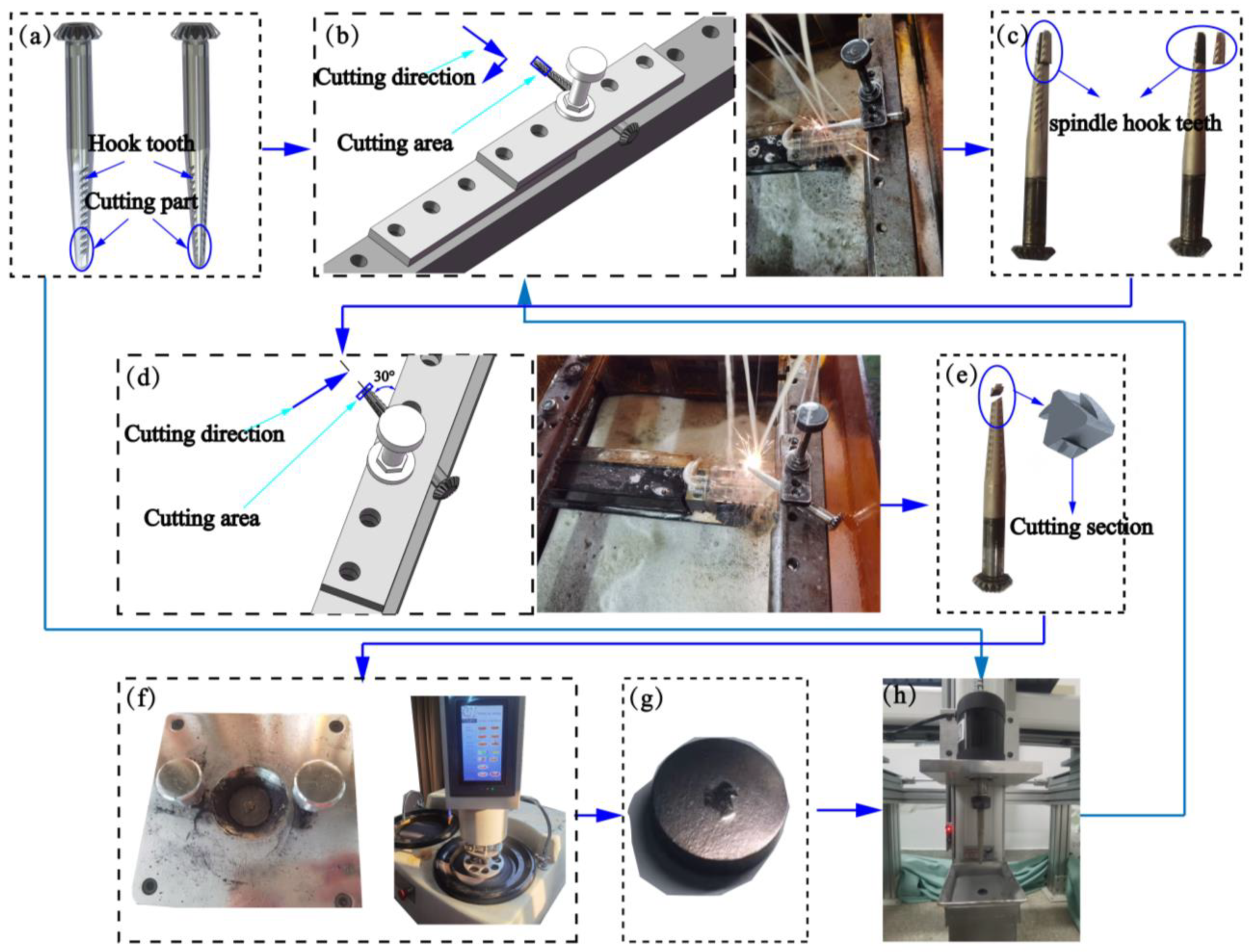 Coatings 13 00422 g002