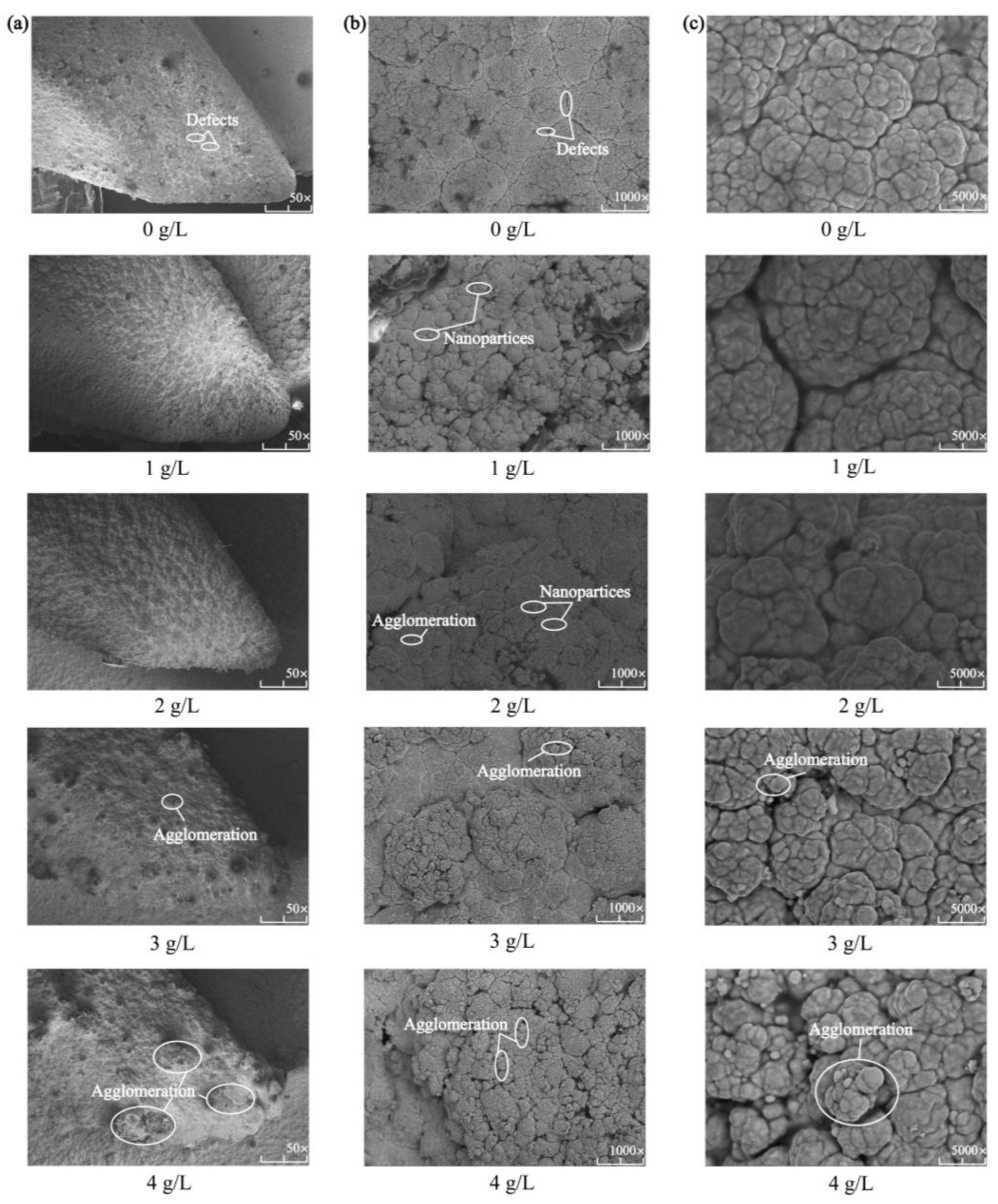 Coatings 13 00422 g003