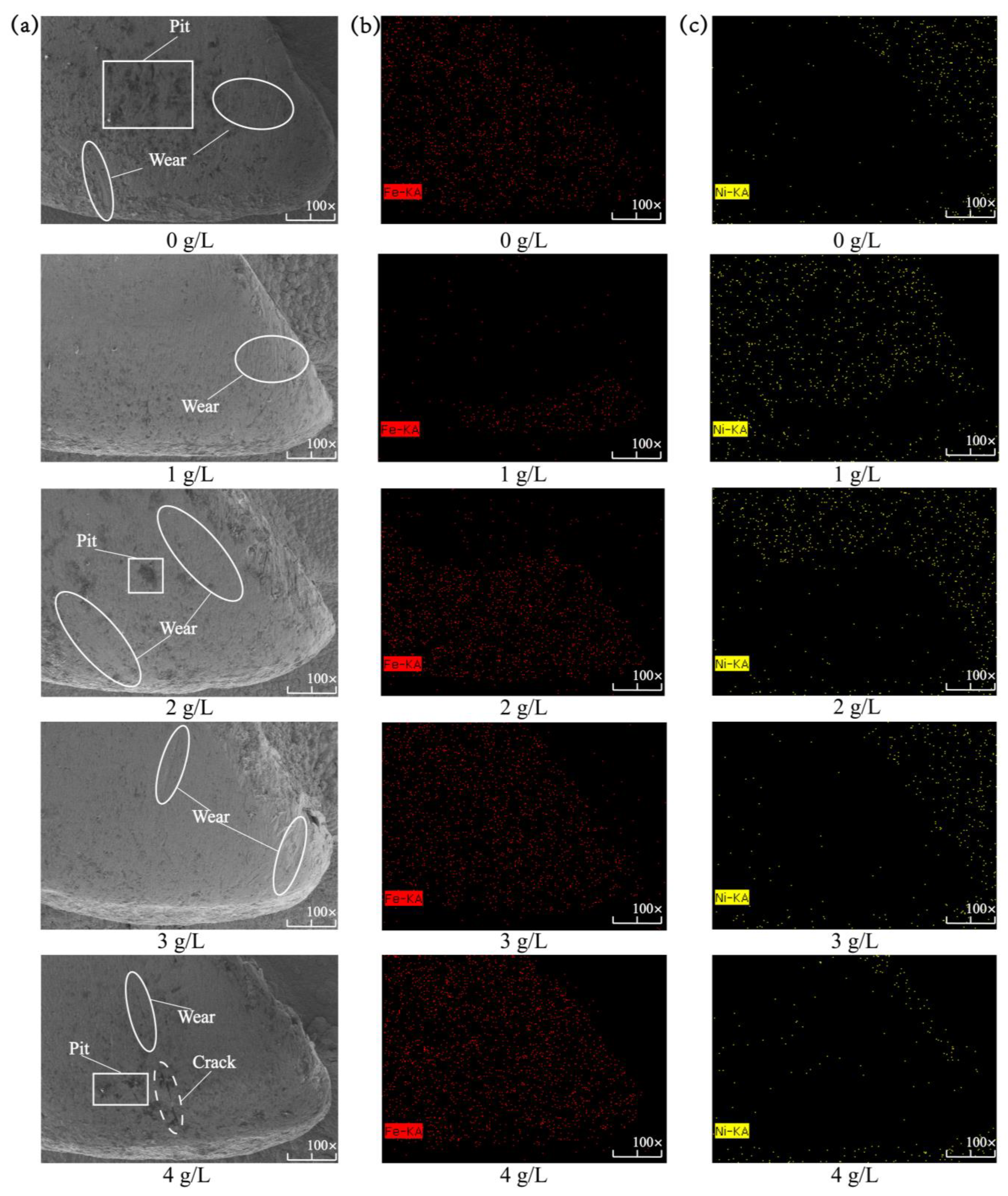 Coatings 13 00422 g009