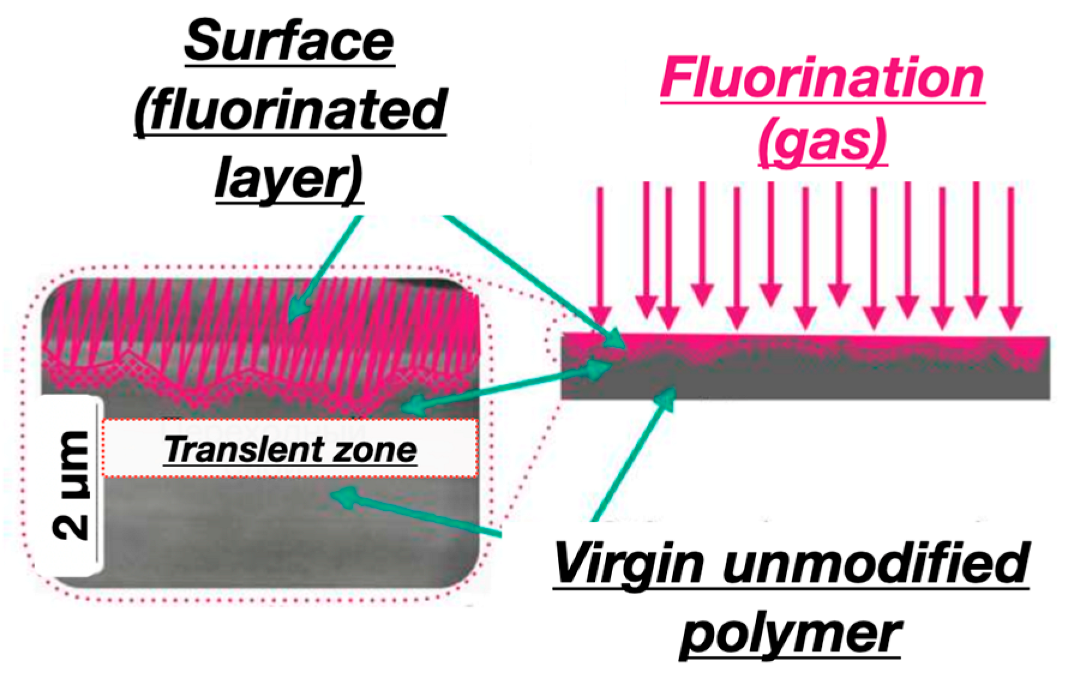 Coatings 13 00424 g002