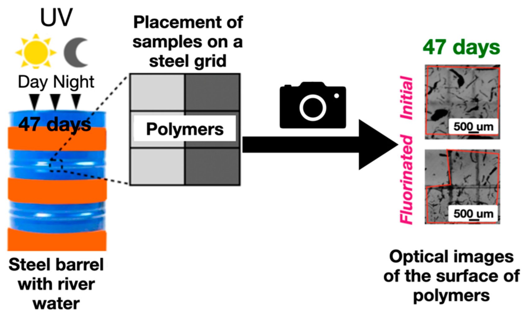 Coatings 13 00424 g003
