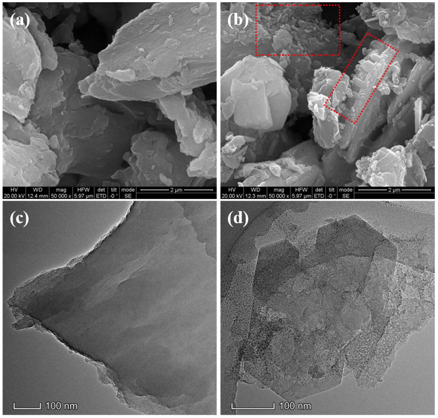 Coatings 13 00431 g001