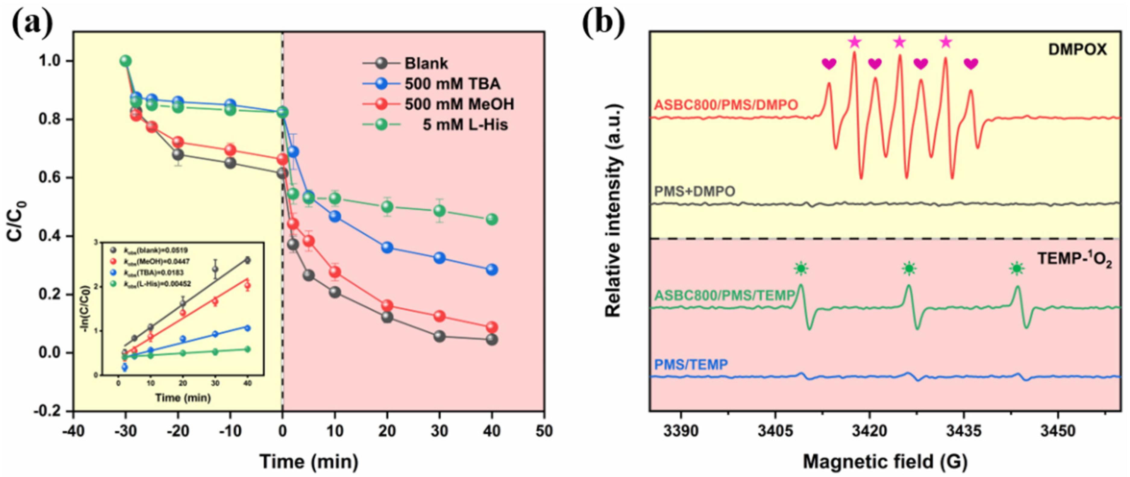 Coatings 13 00431 g008