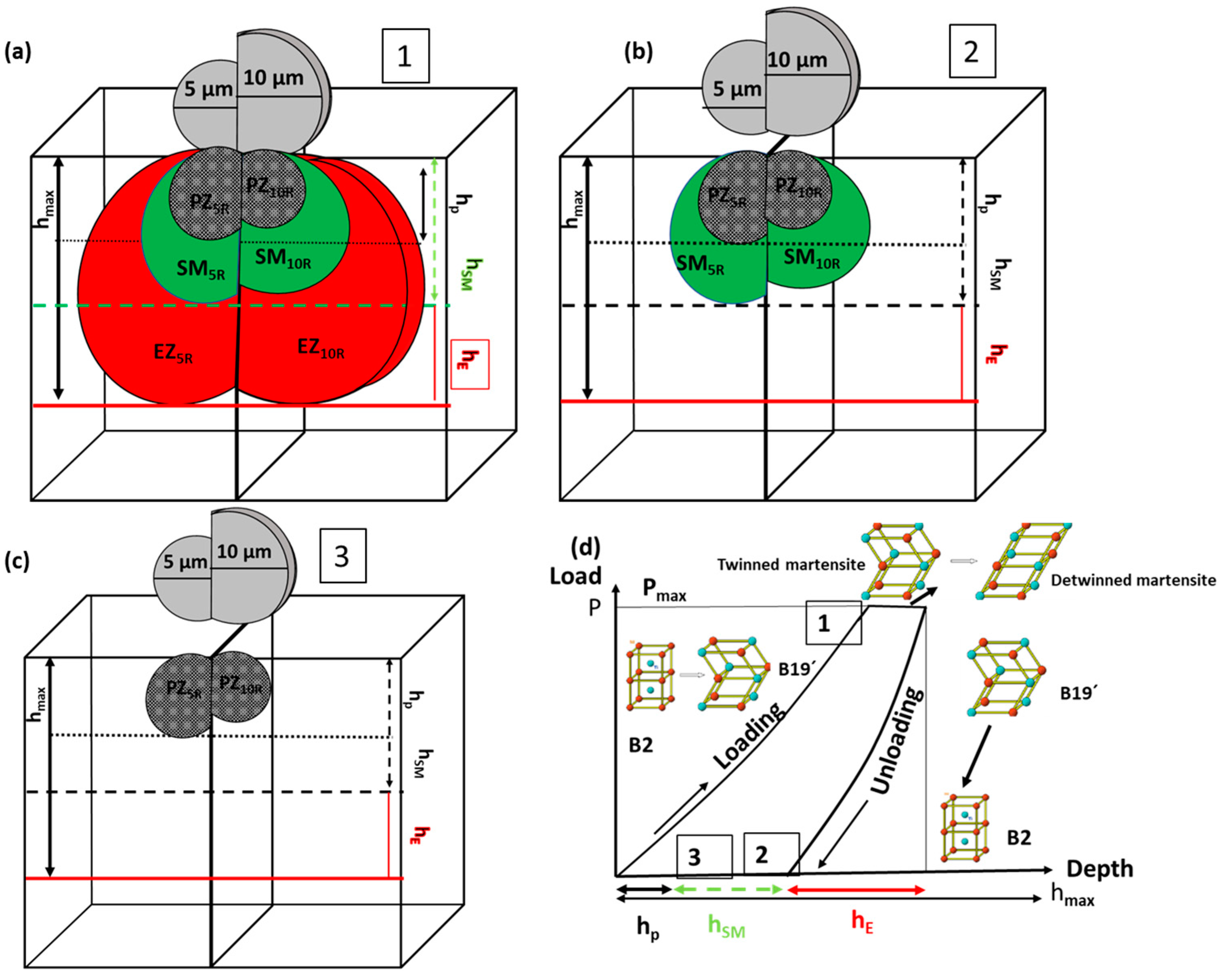 Coatings 13 00433 g005
