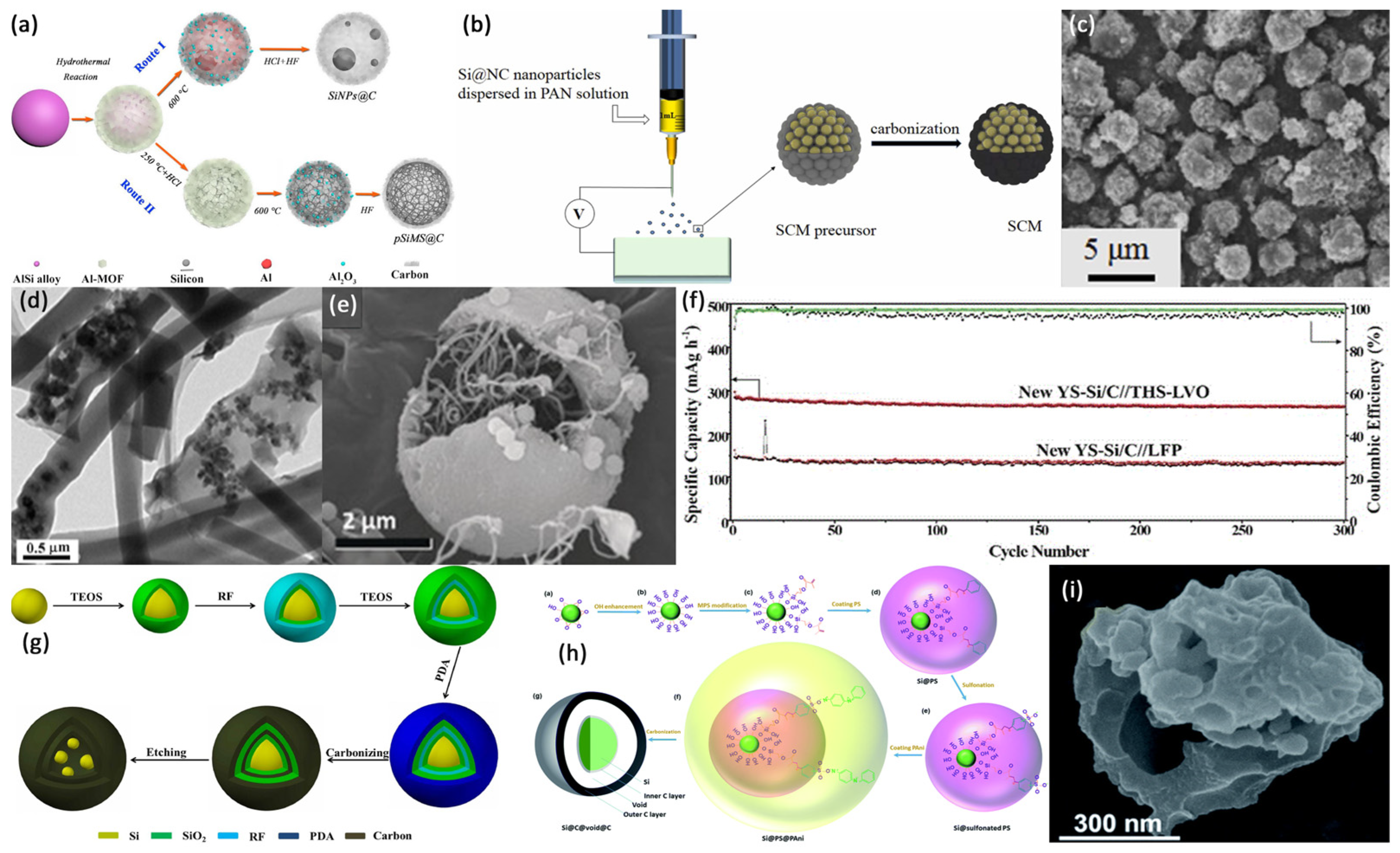 Coatings 13 00436 g001