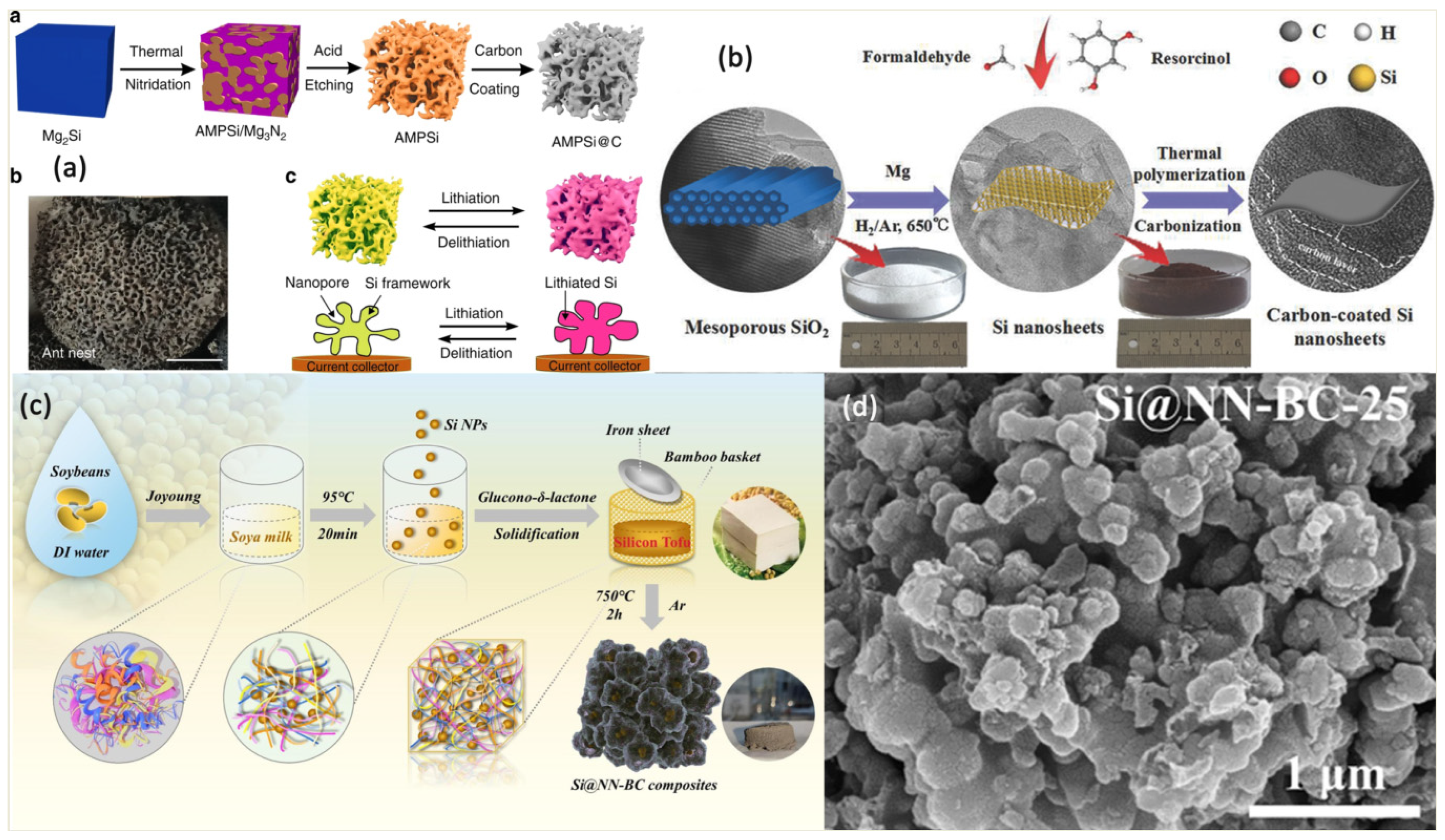 Coatings 13 00436 g002