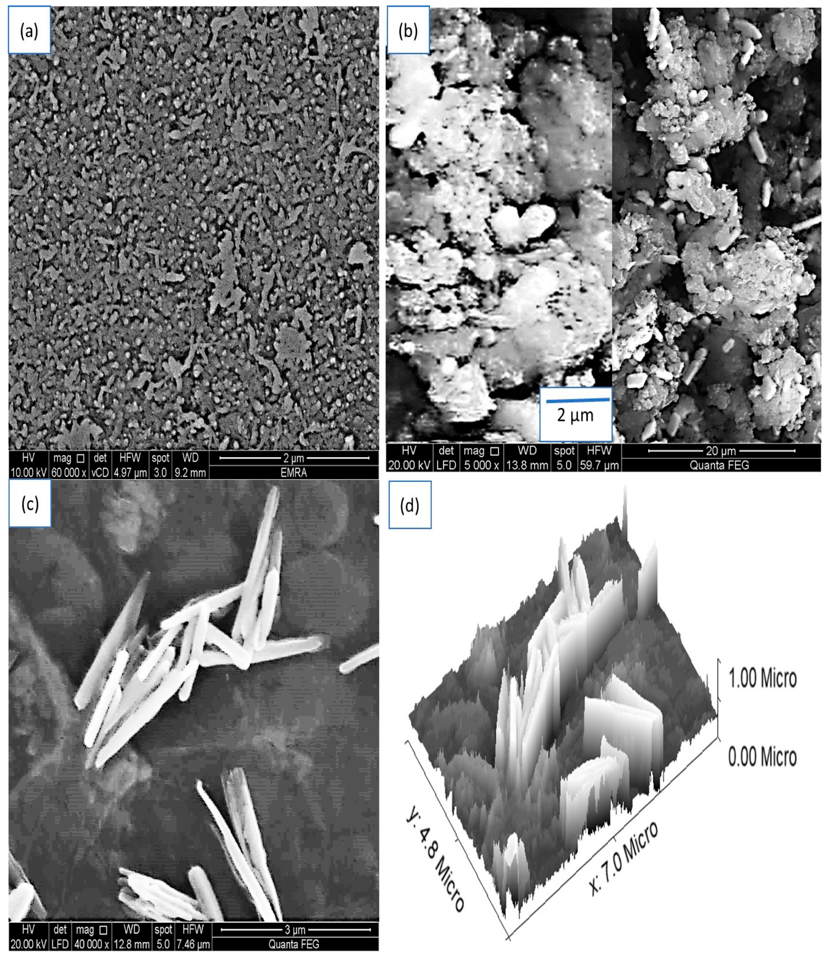 Coatings 13 00437 g002 Coatings 13 00437 g002