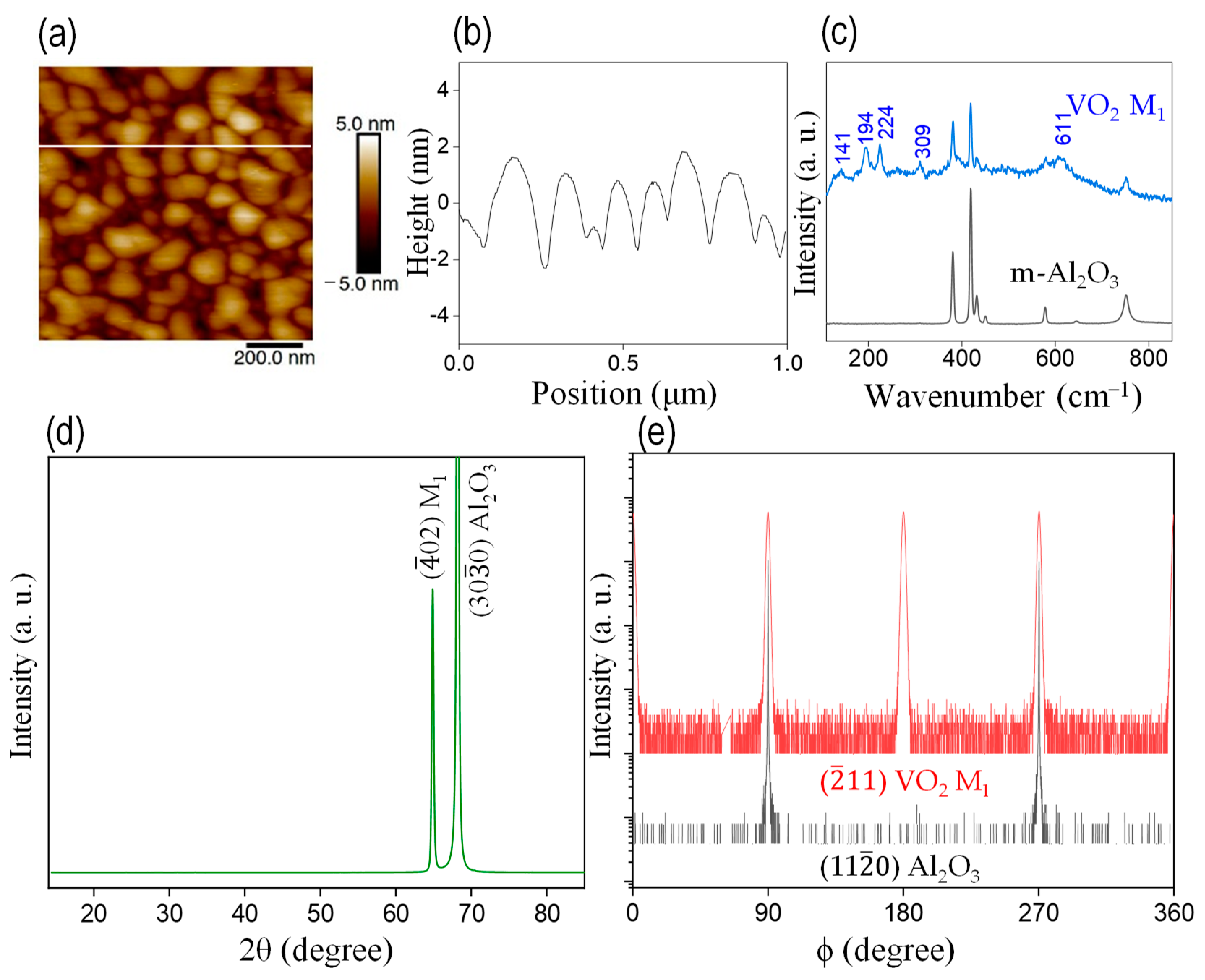 Coatings 13 00439 g001