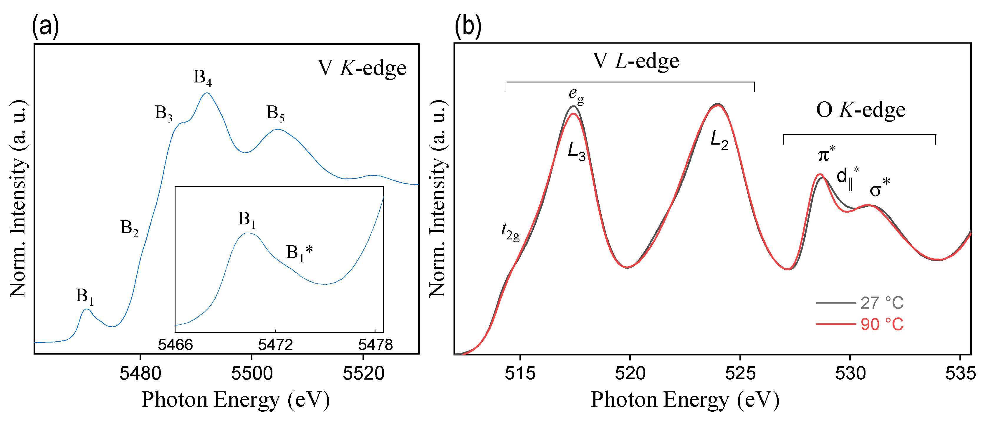 Coatings 13 00439 g005