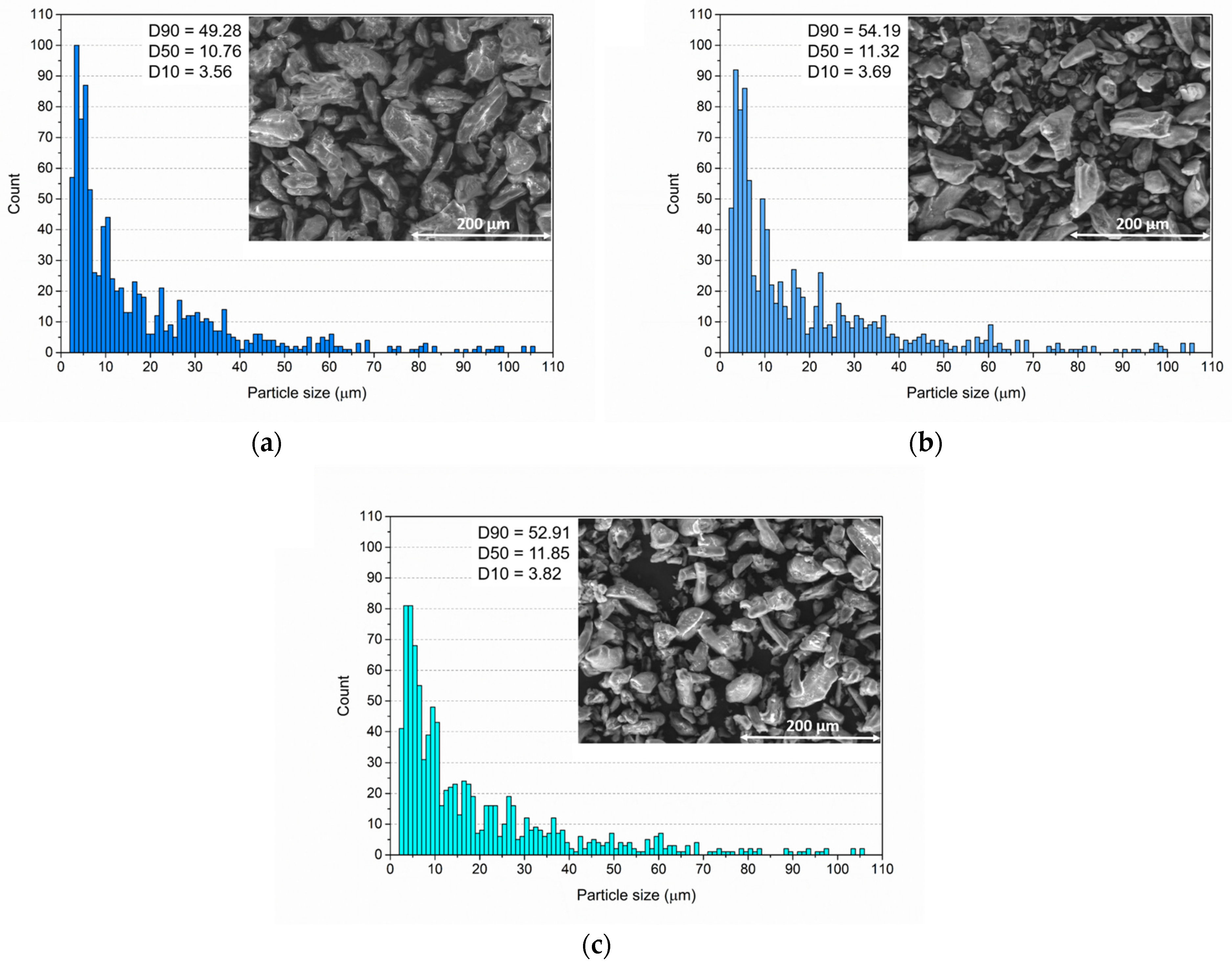 Coatings 13 00442 g001