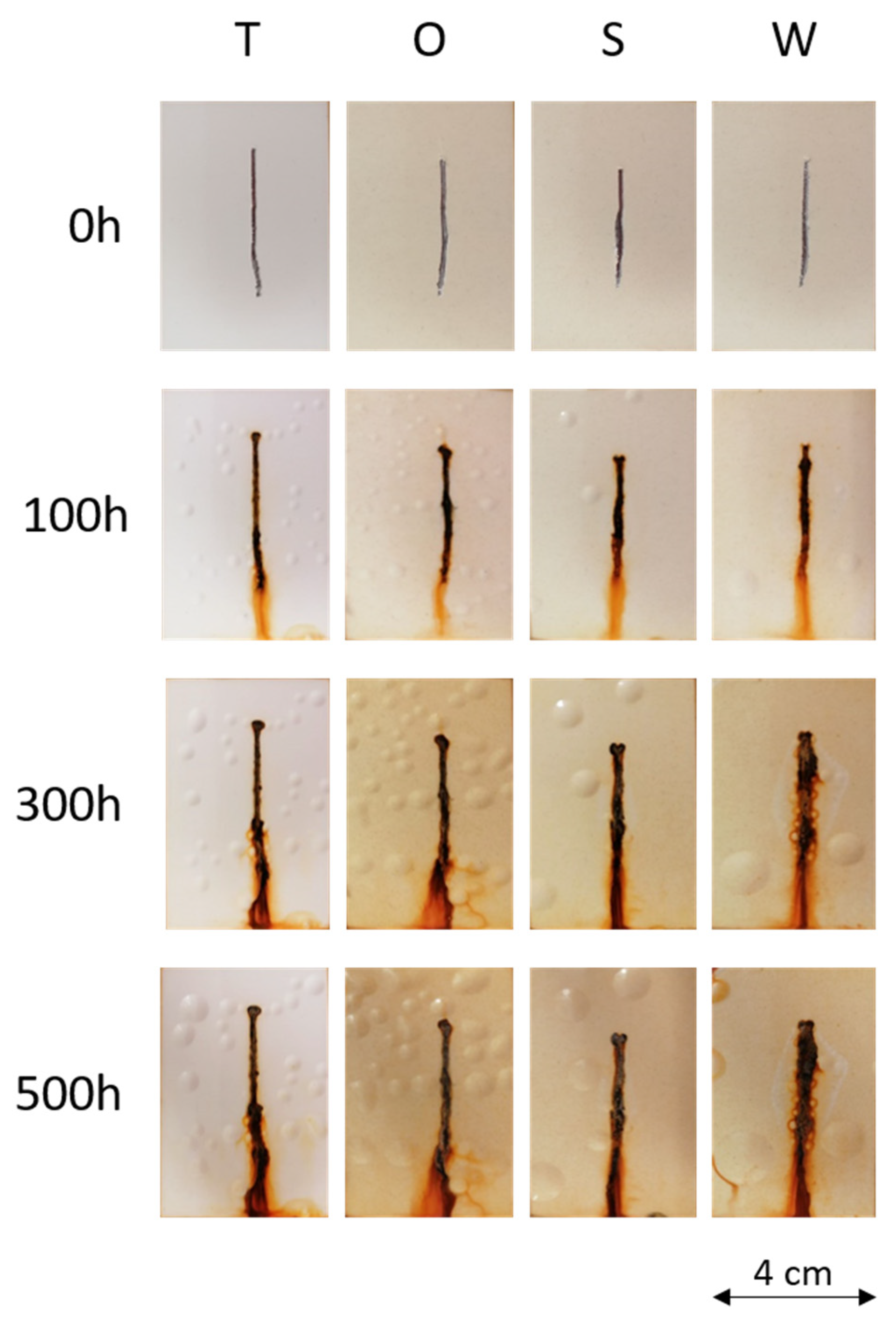 Coatings 13 00442 g005