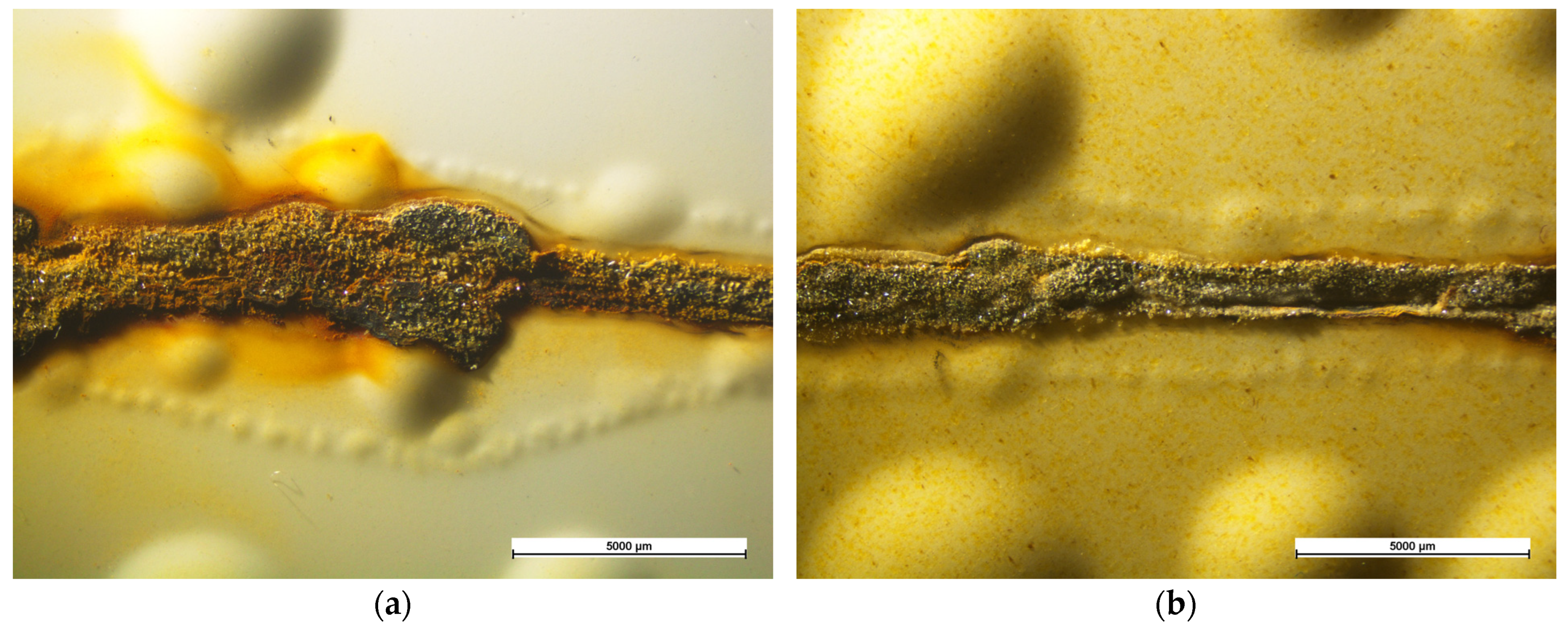 Coatings 13 00442 g007a