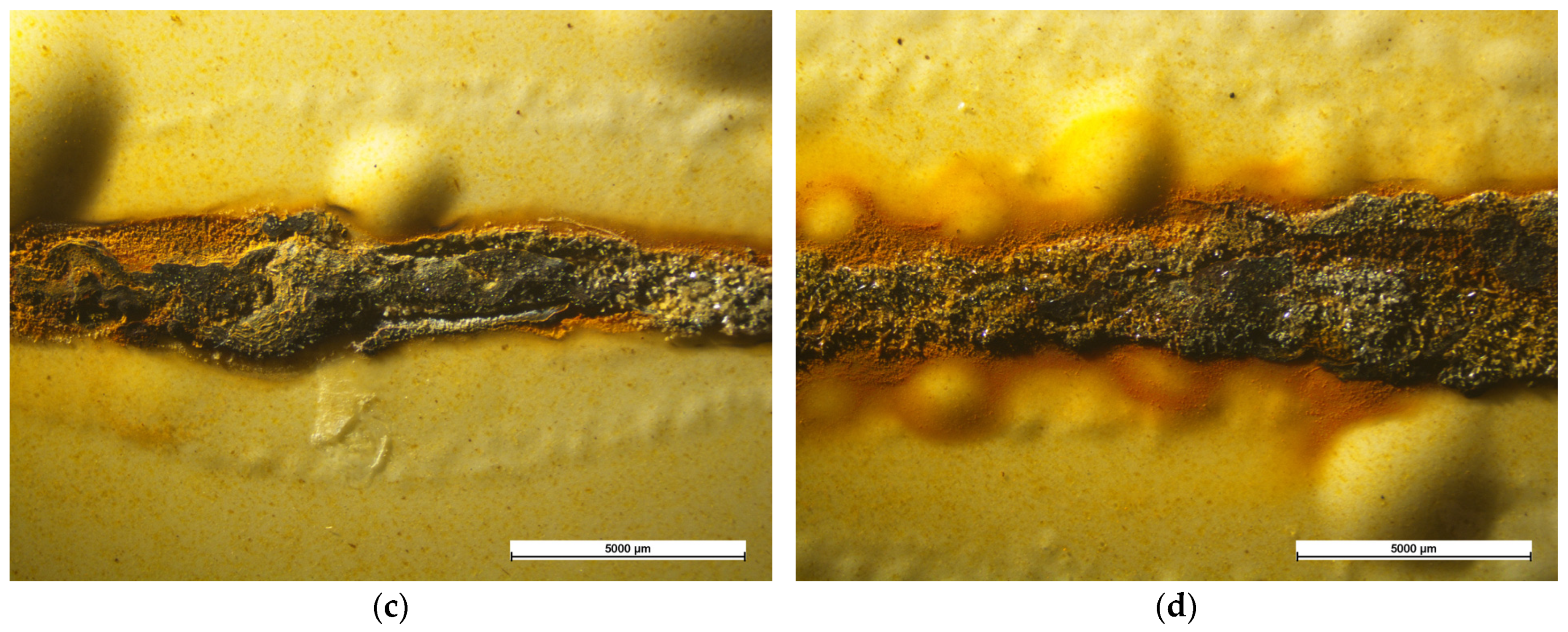 Coatings 13 00442 g007b