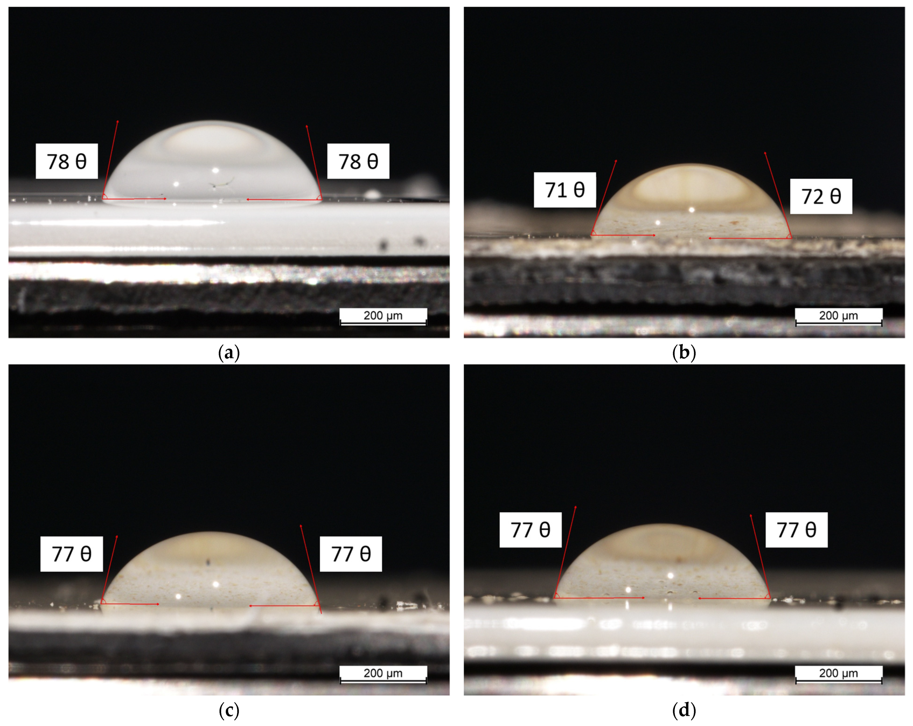Coatings 13 00442 g008