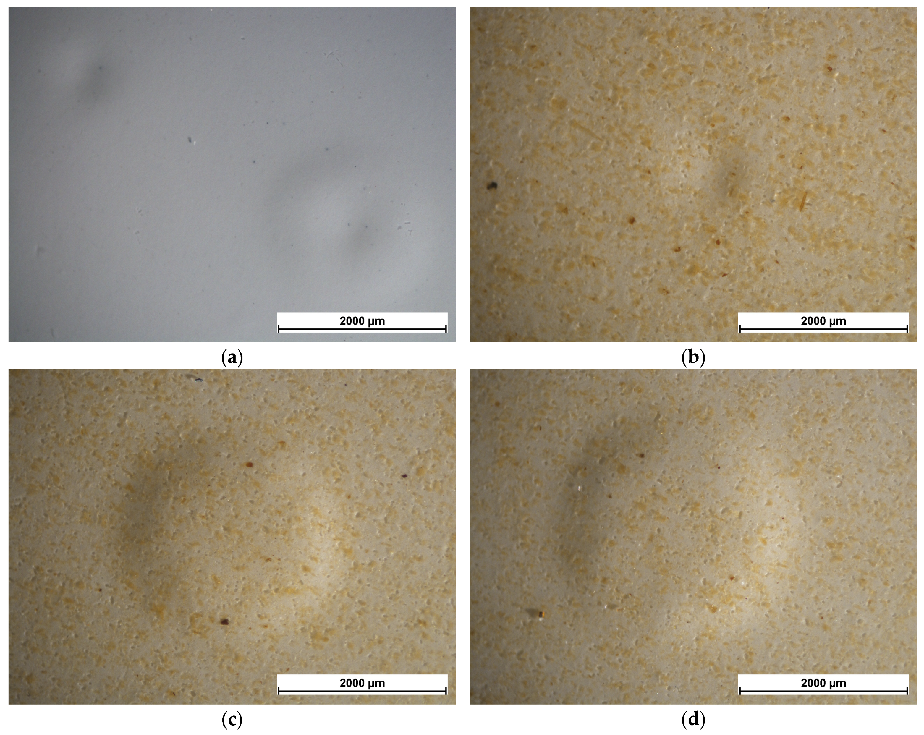 Coatings 13 00442 g013