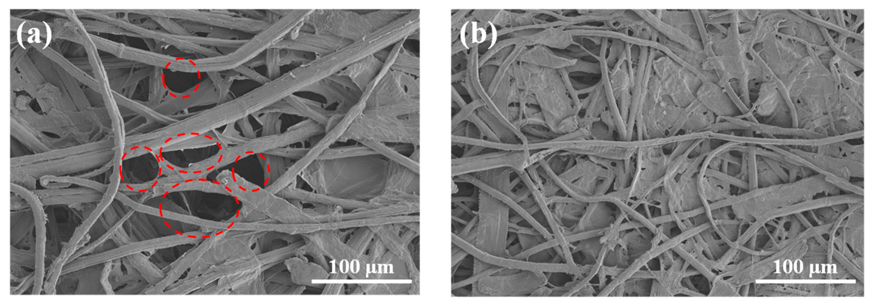 Coatings 13 00443 g003 Coatings 13 00443 g003