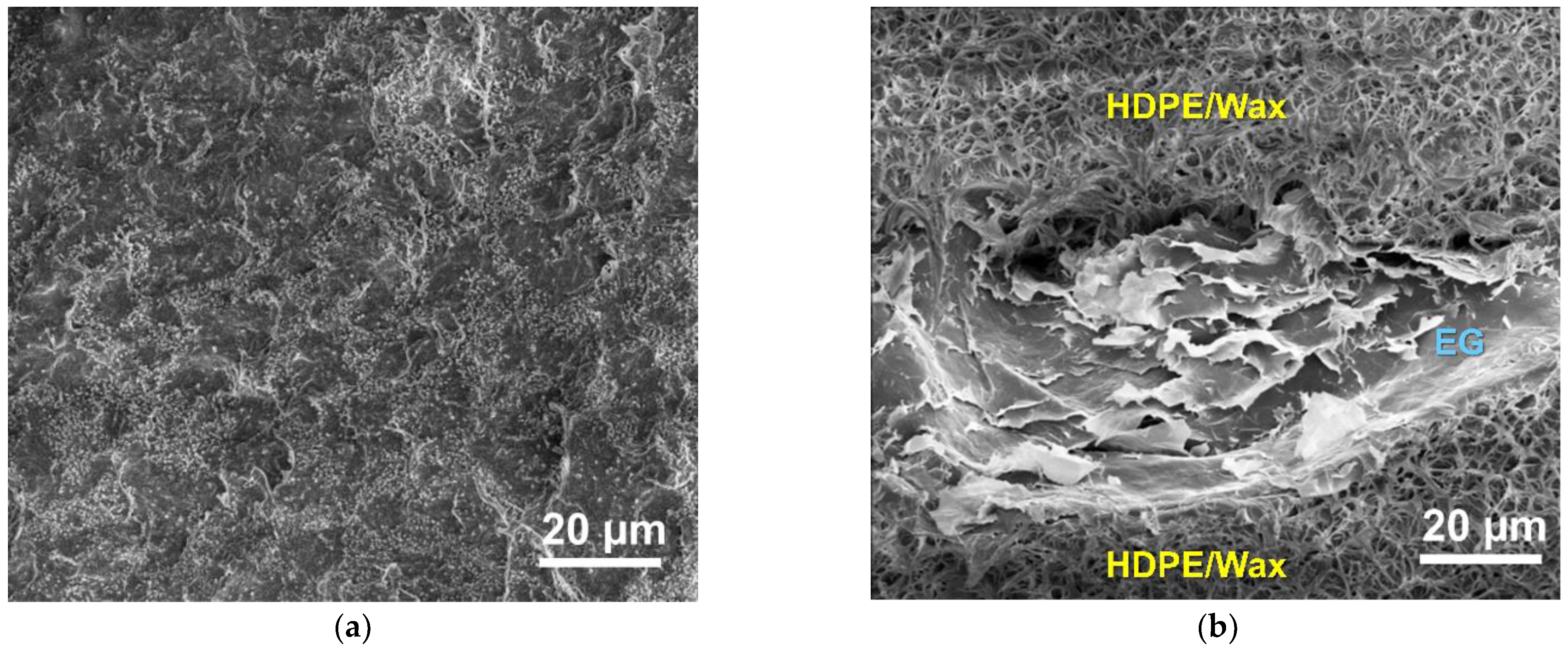Coatings 13 00444 g004