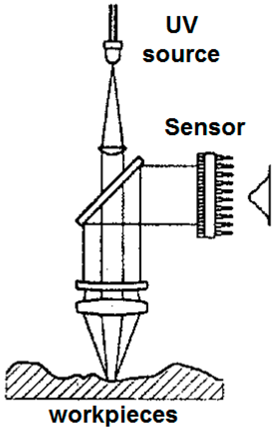 Coatings 13 00447 g003