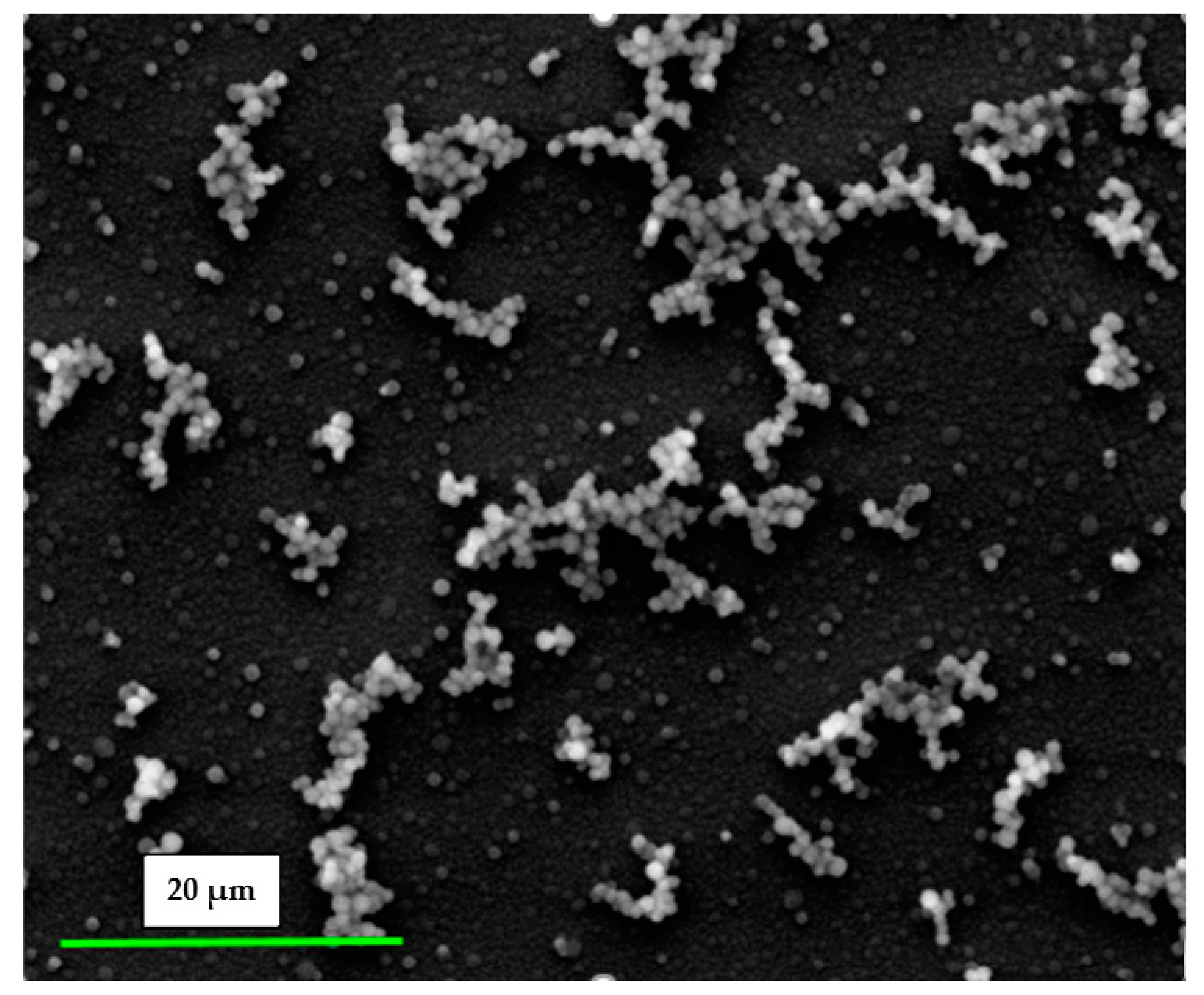 Coatings 13 00449 g002