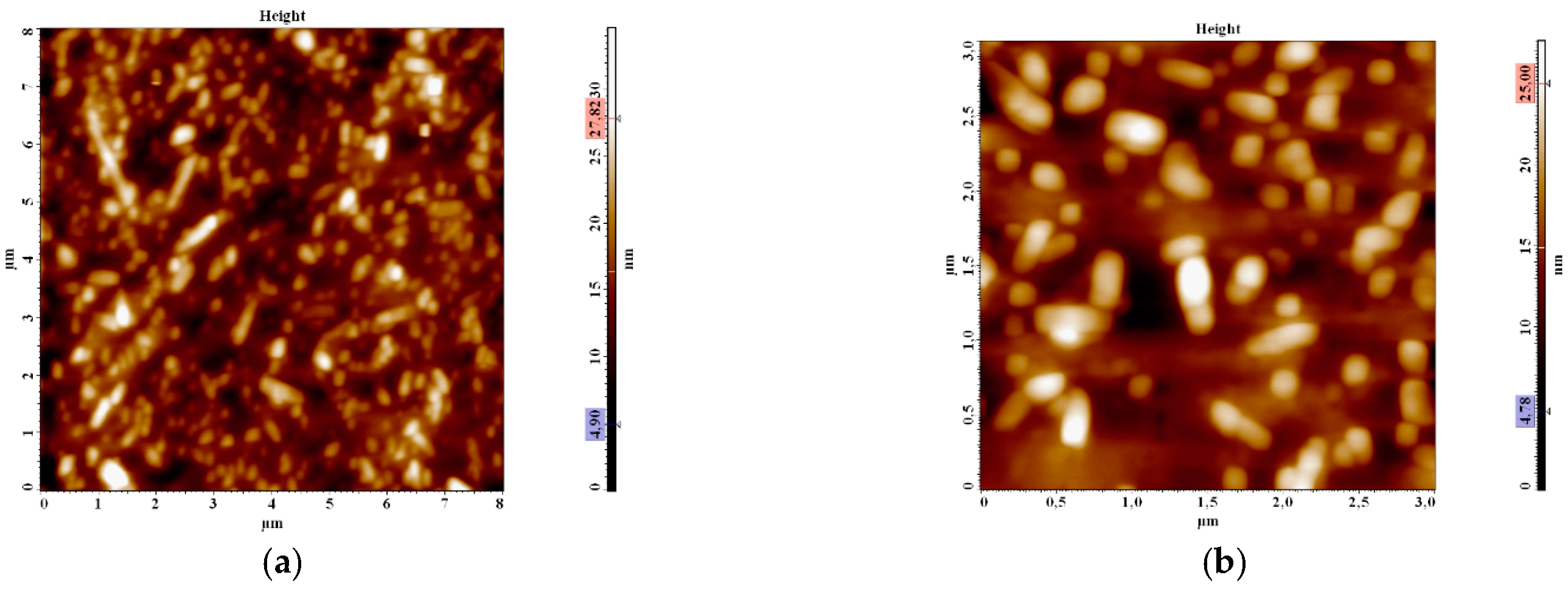 Coatings 13 00449 g009