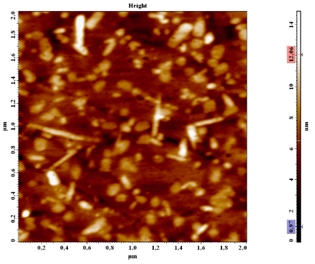 Coatings 13 00449 g010