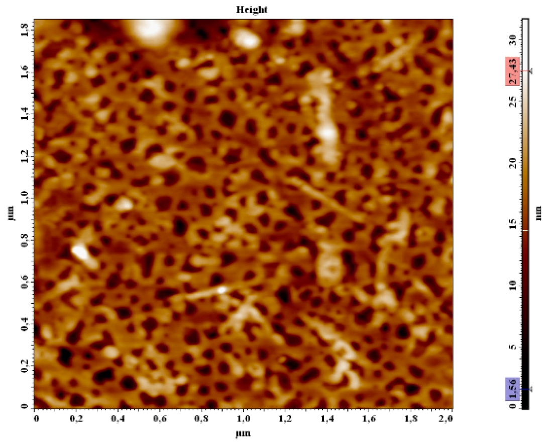 Coatings 13 00449 g011