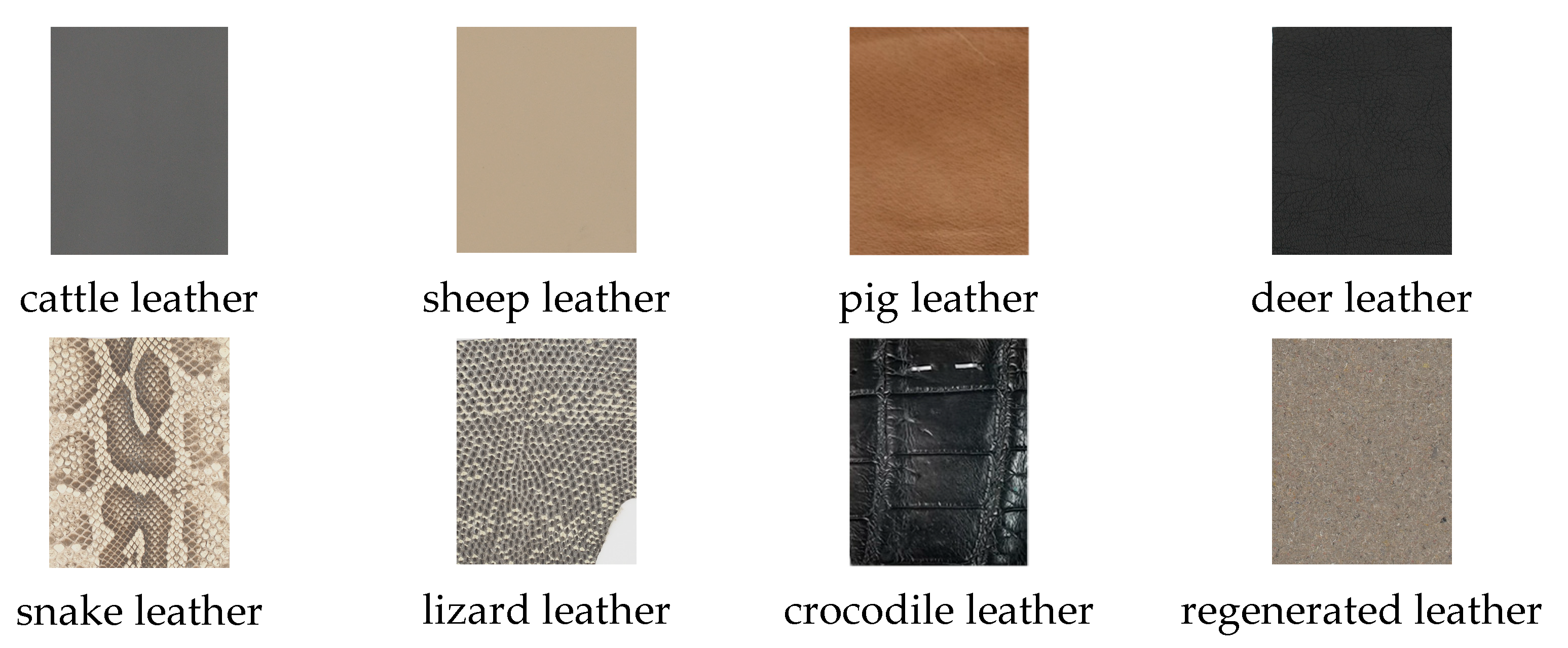 Coatings 13 00450 g001