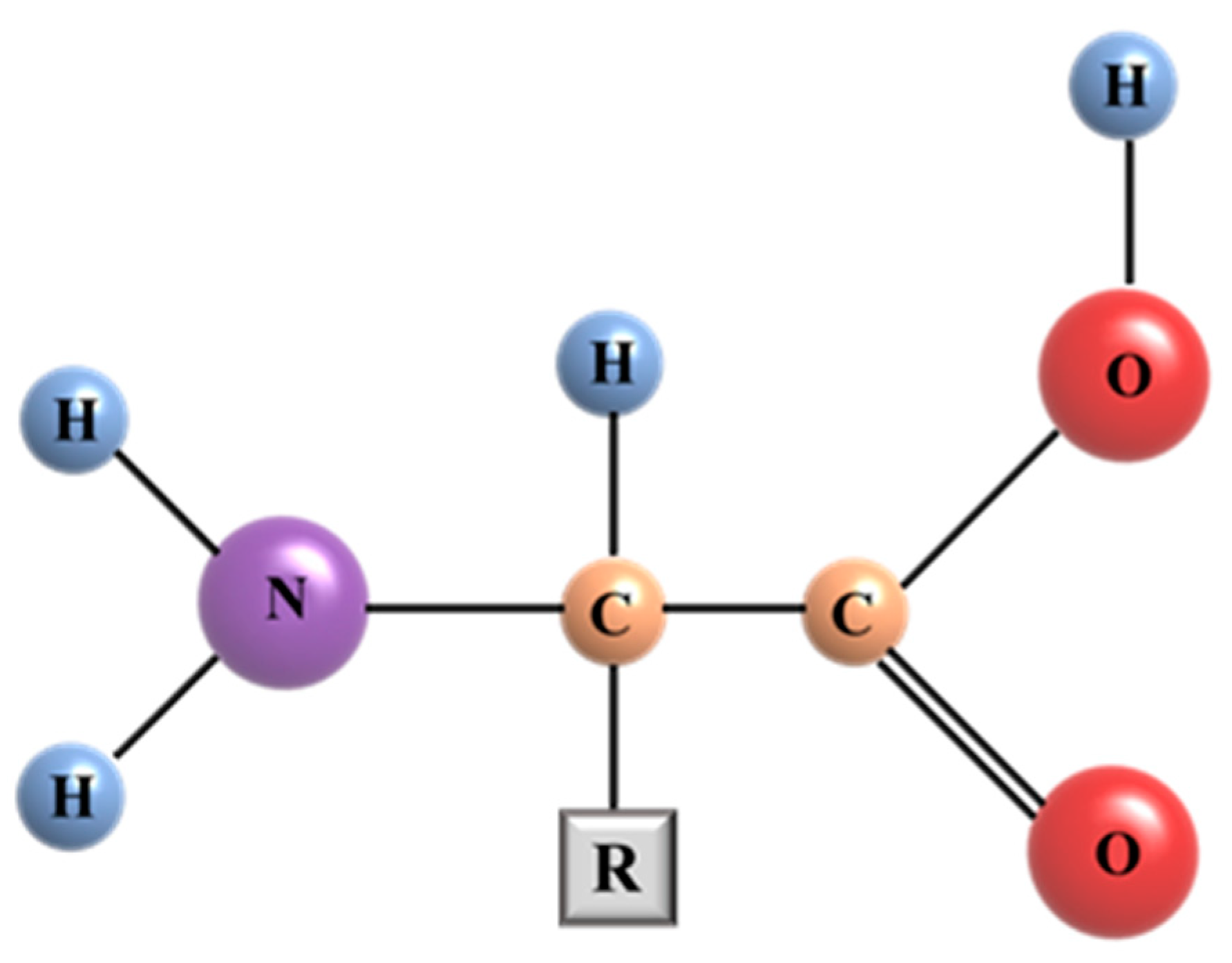 Coatings 13 00450 g004
