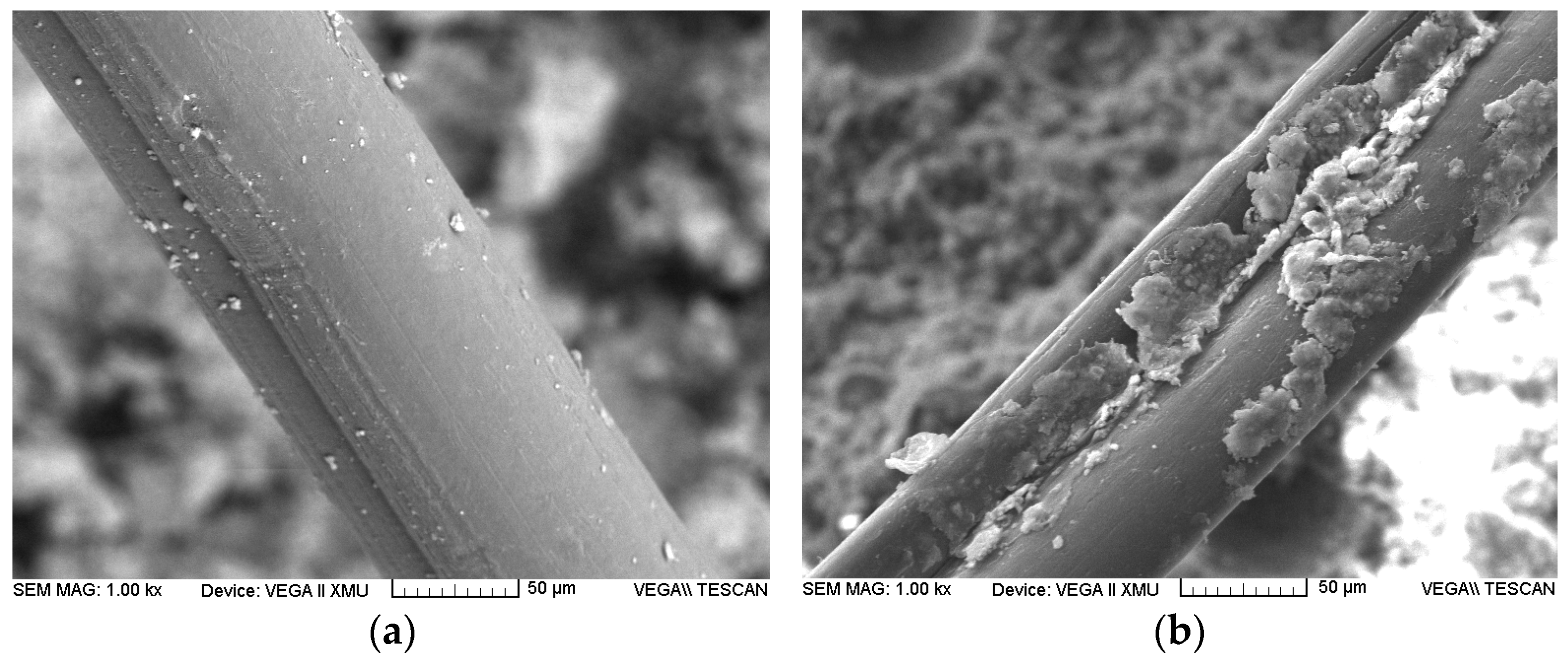 Coatings 13 00452 g005