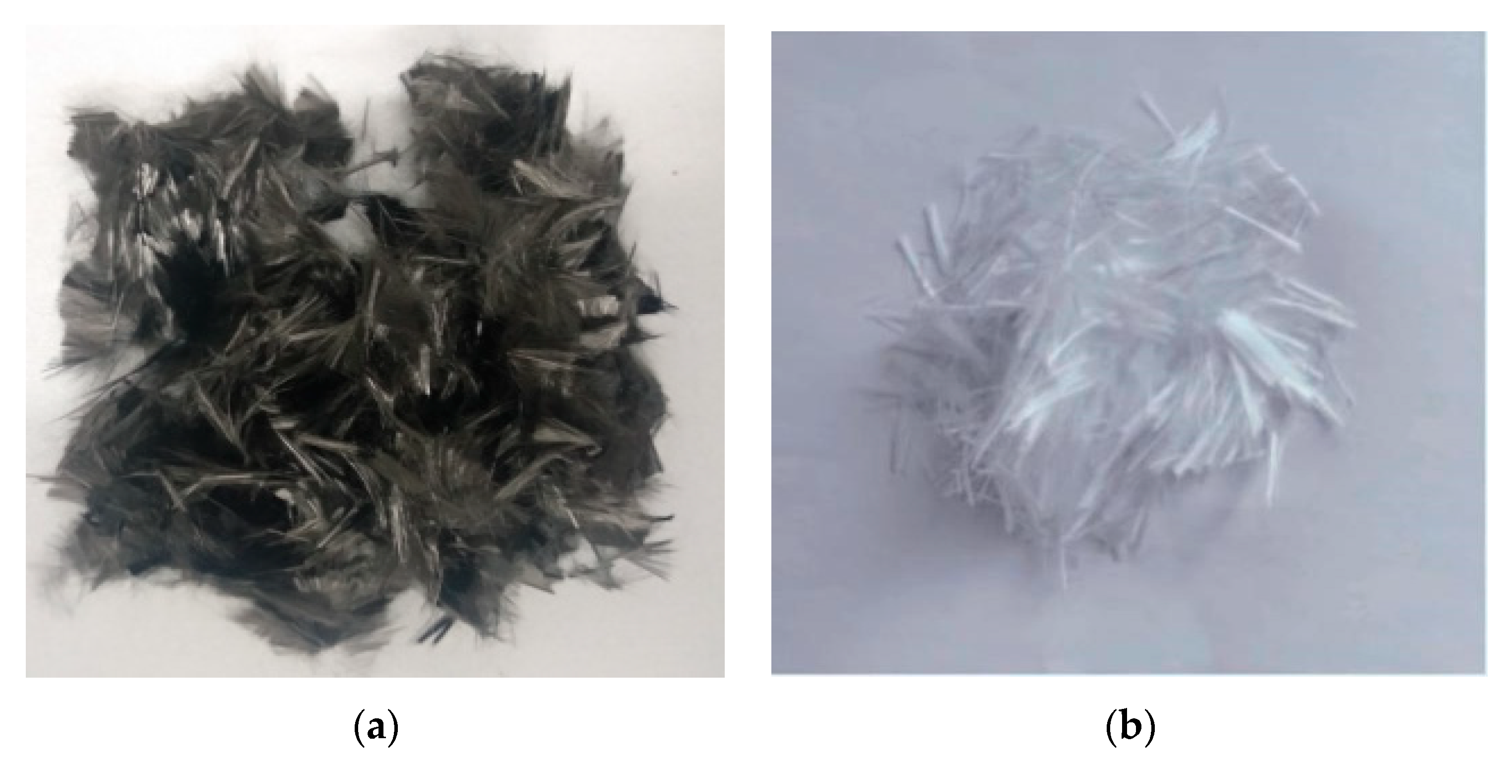 Coatings 13 00458 g001